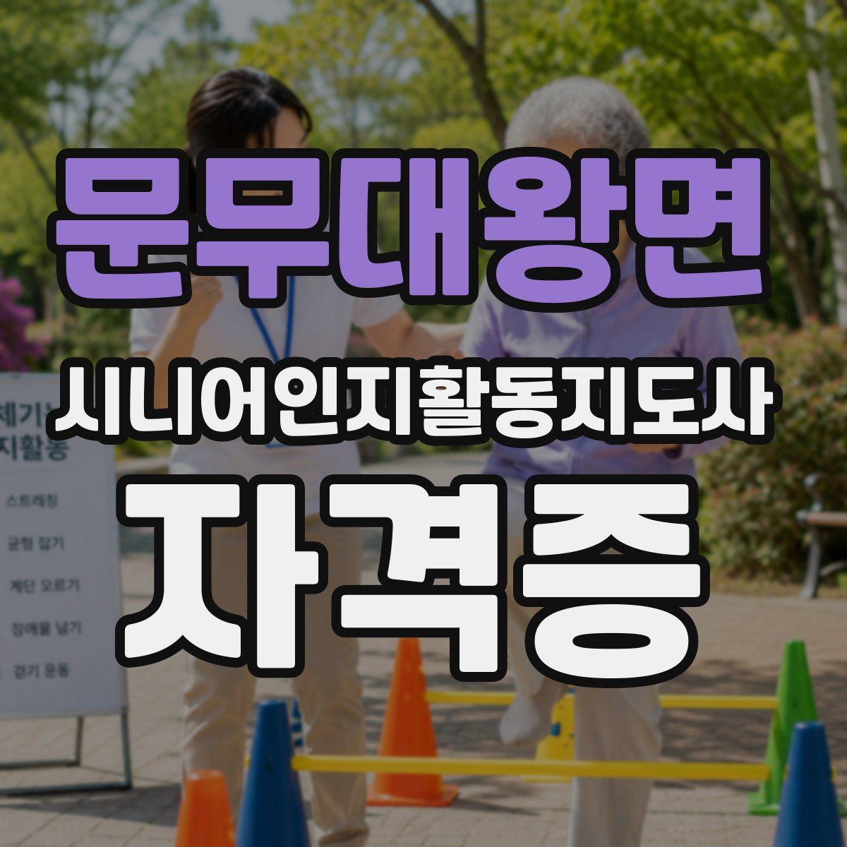 문무대왕면 시니어인지활동지도사 자격증