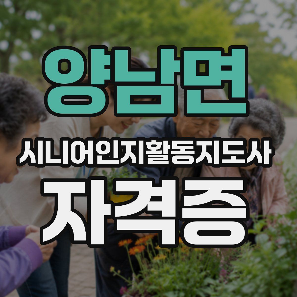 양남면 시니어인지활동지도사 자격증