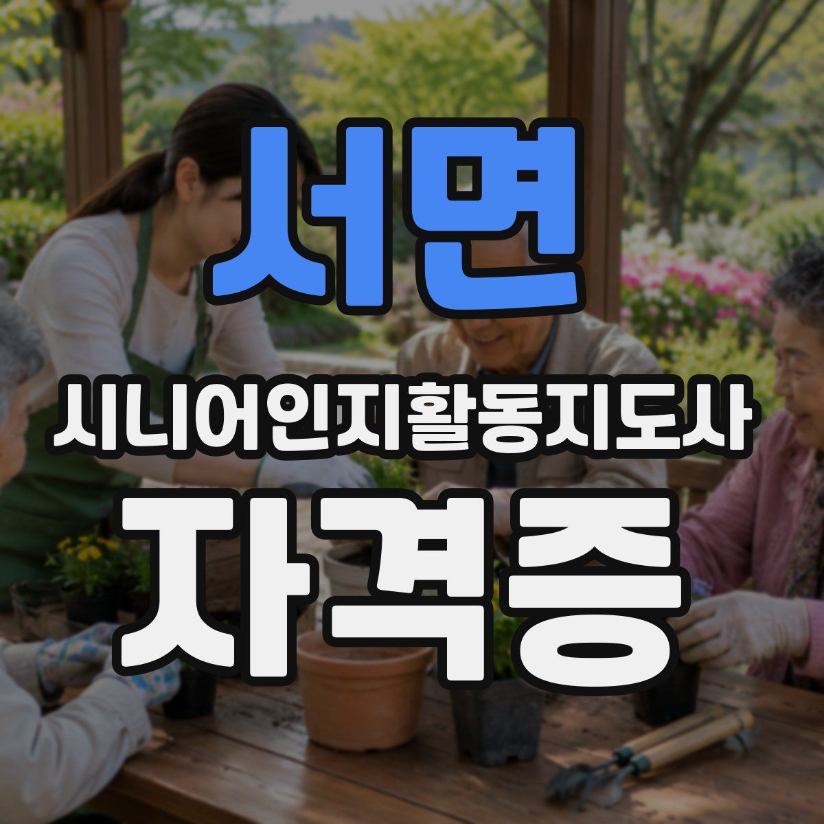 서면 시니어인지활동지도사 자격증