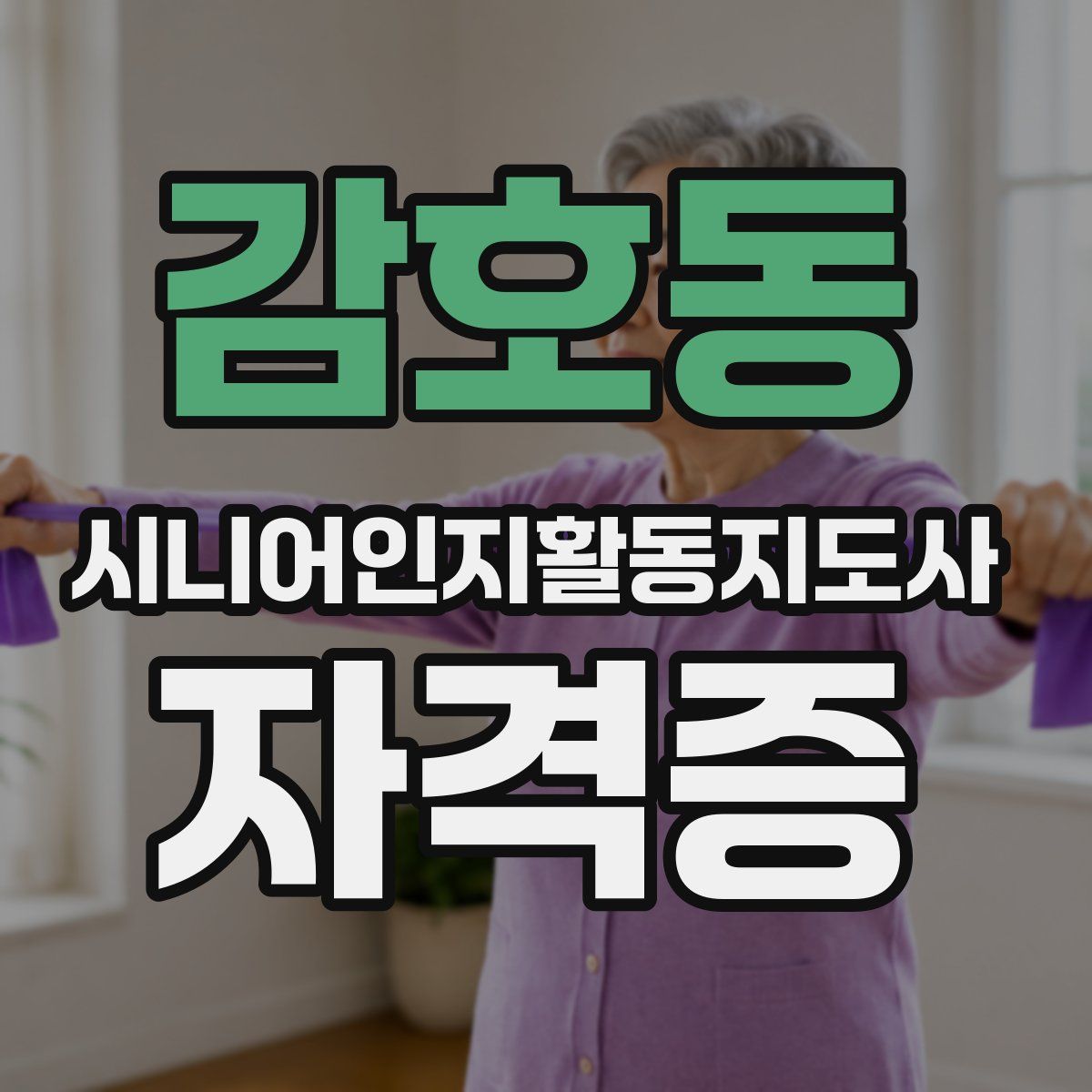 감호동 시니어인지활동지도사 자격증