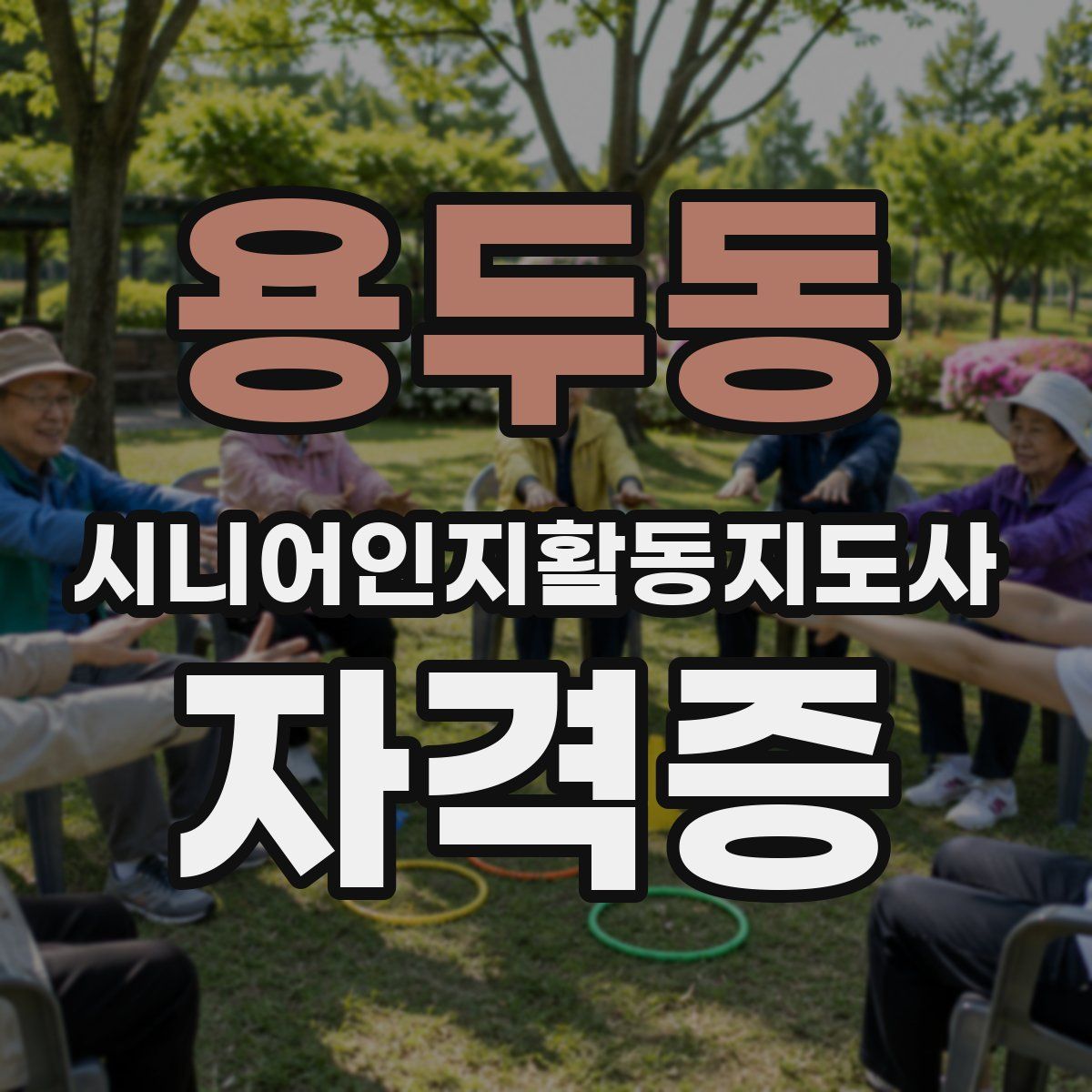 용두동 시니어인지활동지도사 자격증