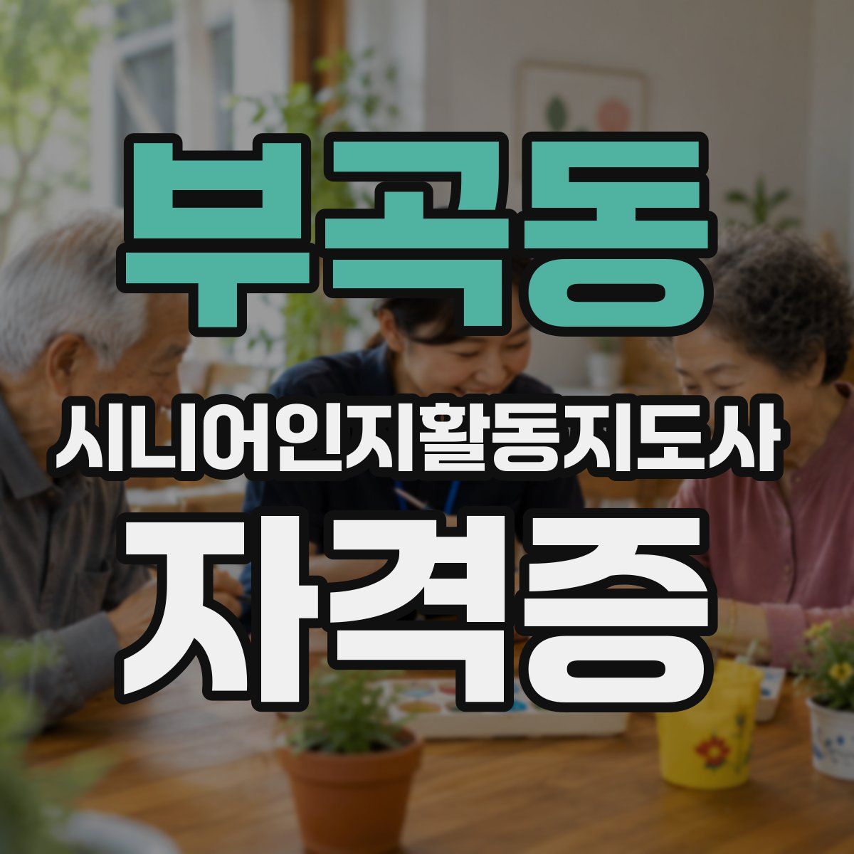 부곡동 시니어인지활동지도사 자격증