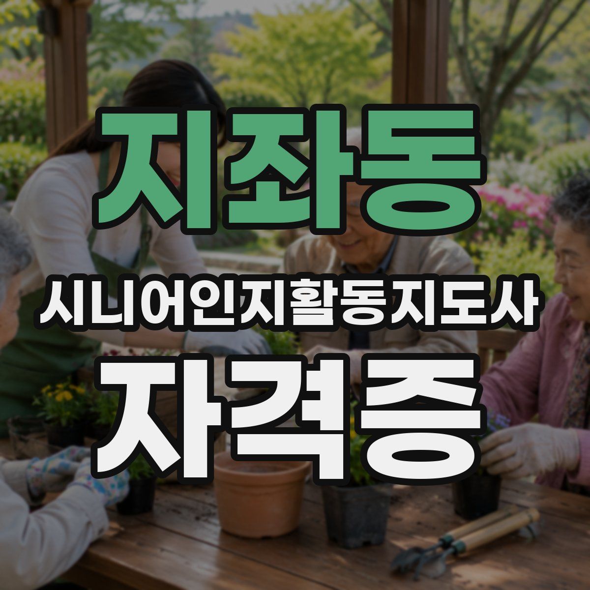 지좌동 시니어인지활동지도사 자격증