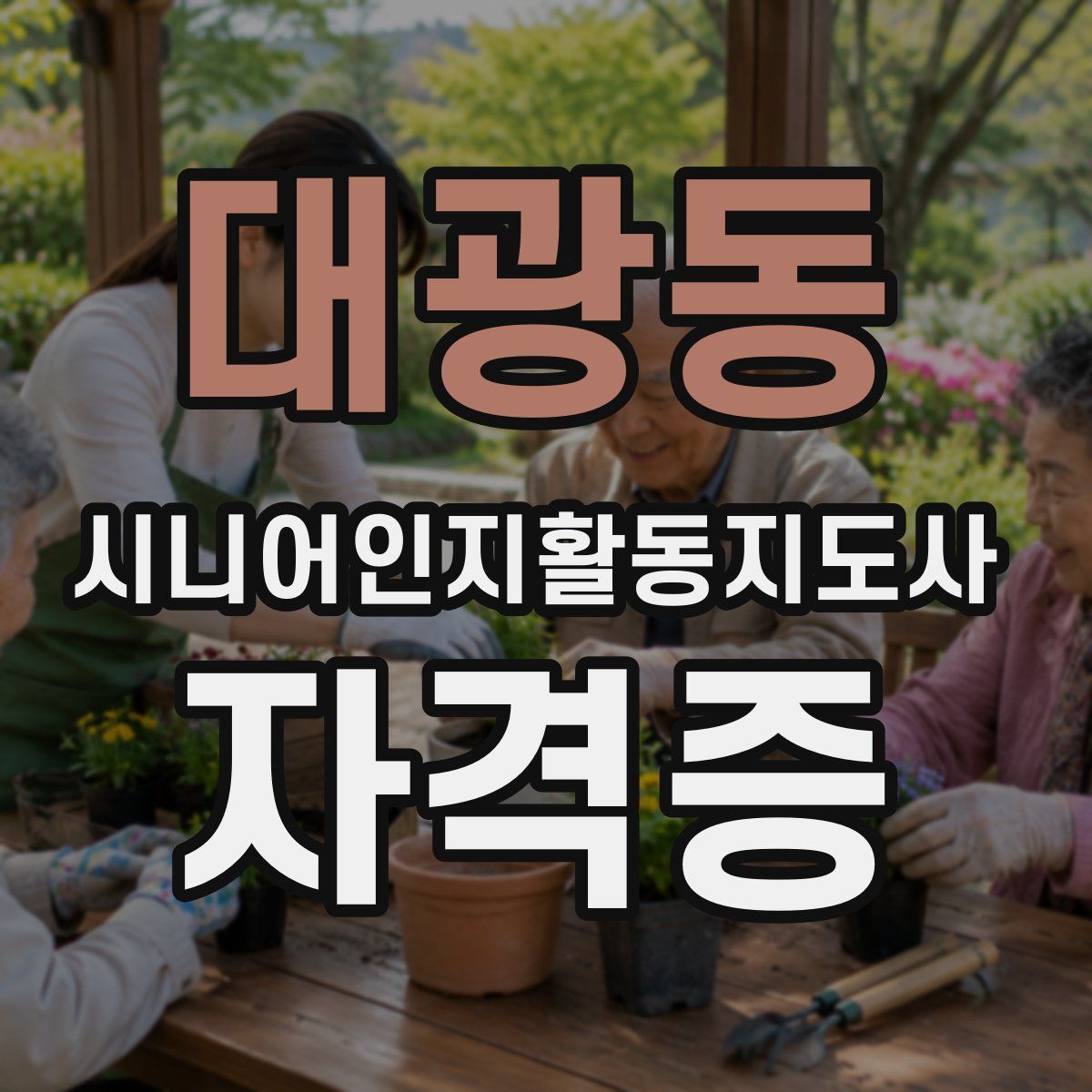 대광동 시니어인지활동지도사 자격증