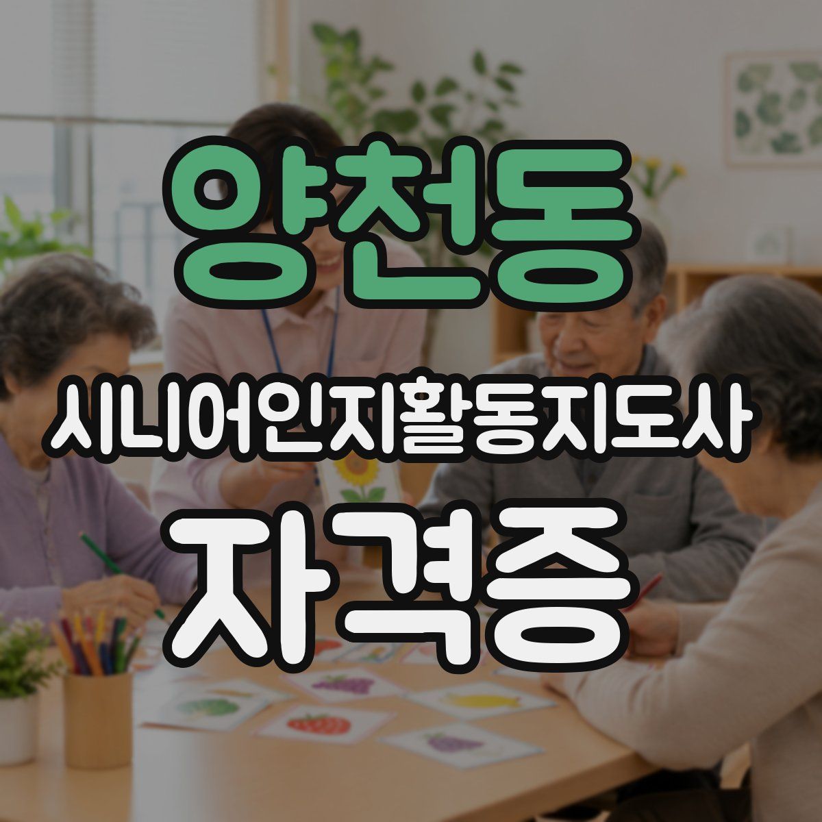 양천동 시니어인지활동지도사 자격증