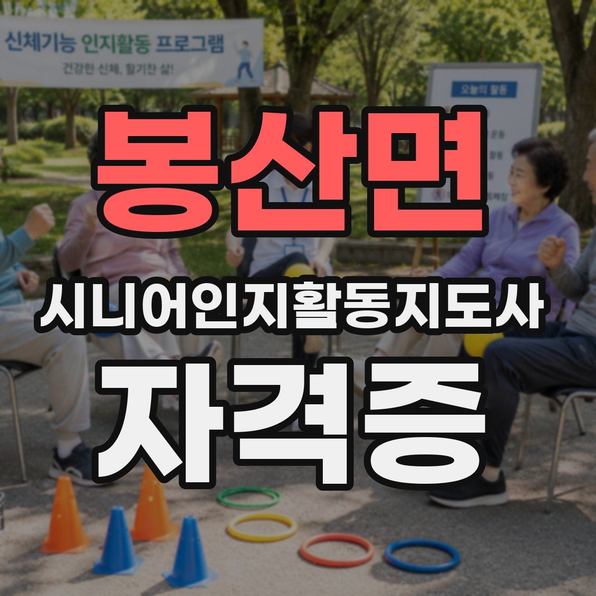 봉산면 시니어인지활동지도사 자격증