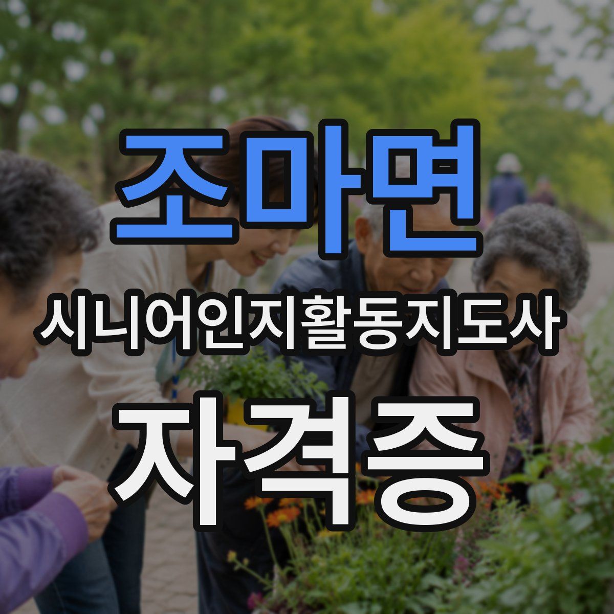 조마면 시니어인지활동지도사 자격증