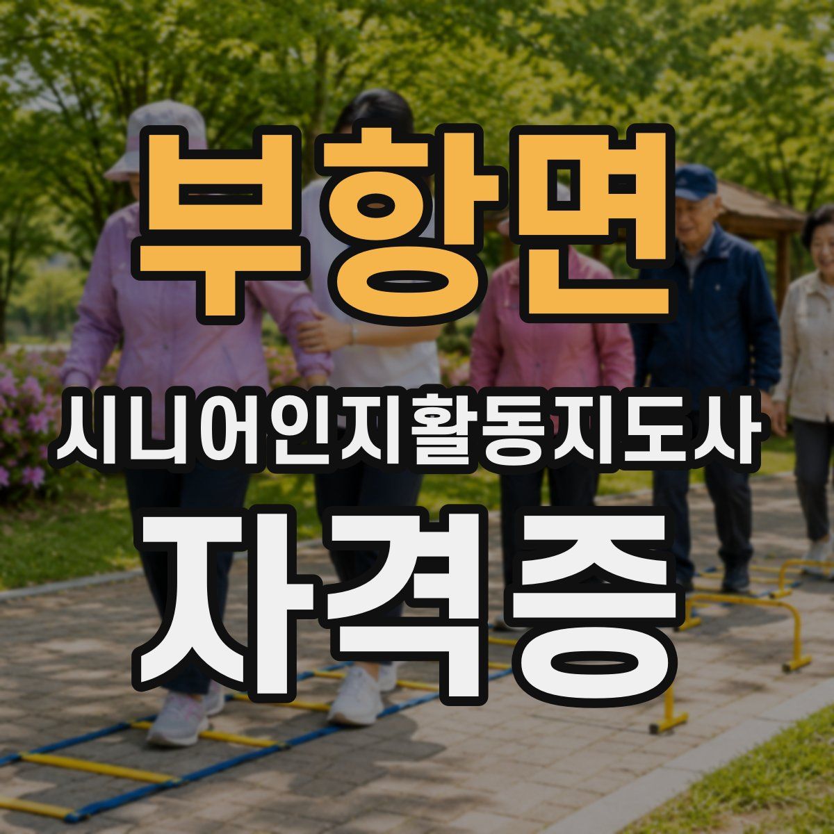 부항면 시니어인지활동지도사 자격증