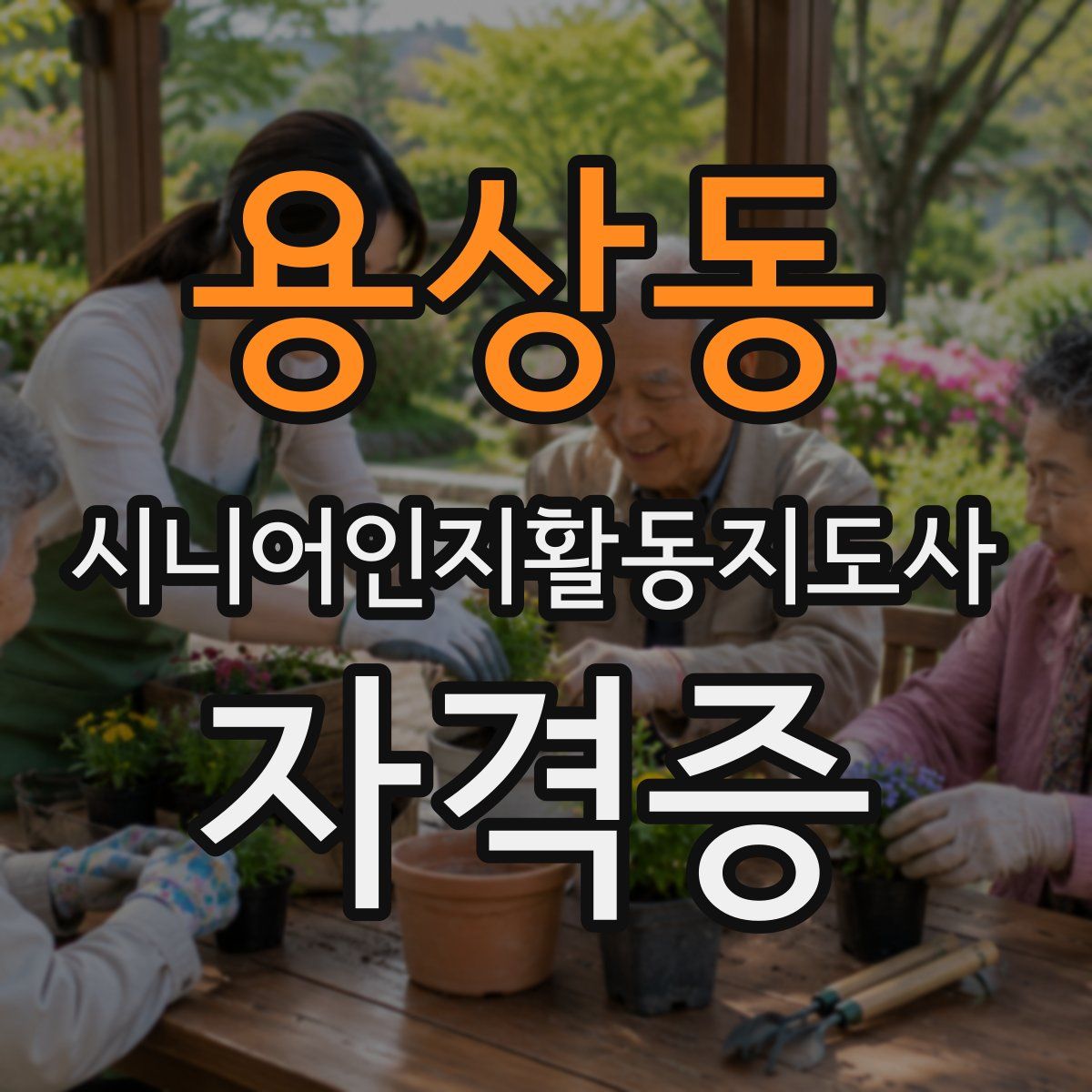 용상동 시니어인지활동지도사 자격증