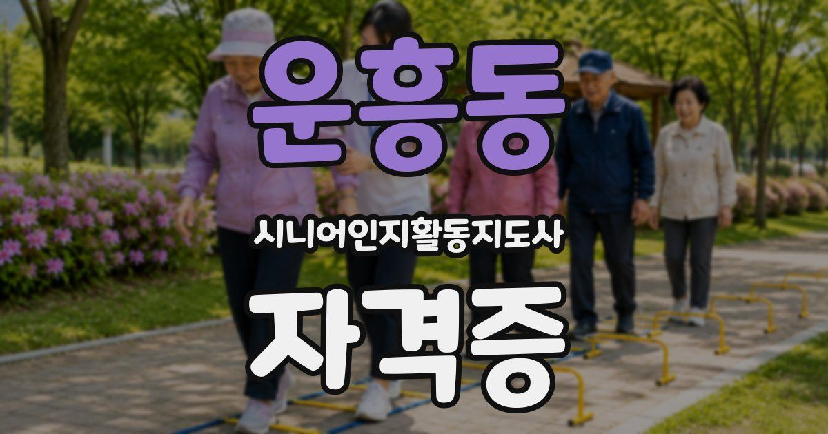 운흥동 시니어인지활동지도사 자격증