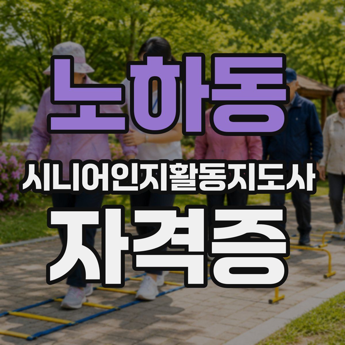 노하동 시니어인지활동지도사 자격증