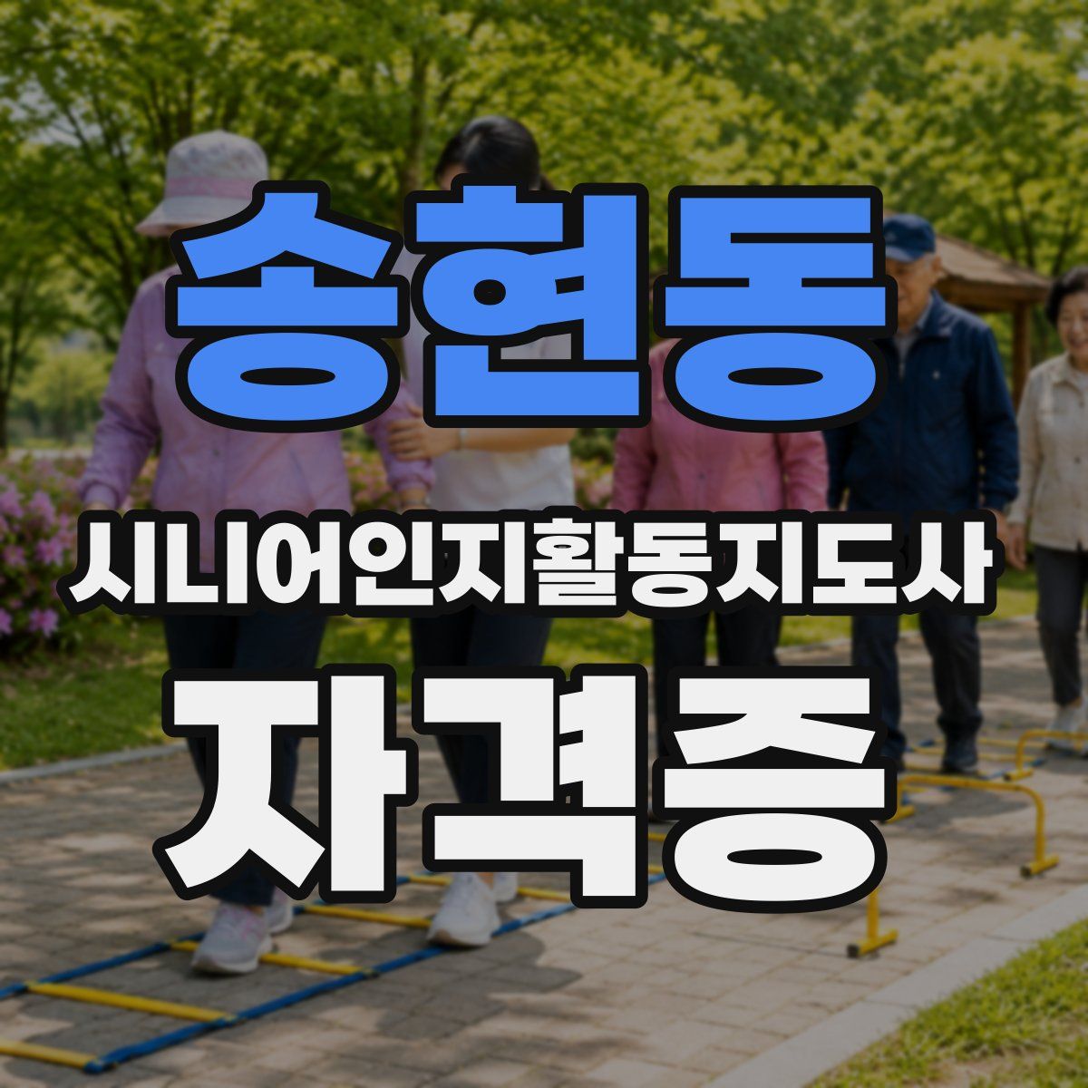 송현동 시니어인지활동지도사 자격증
