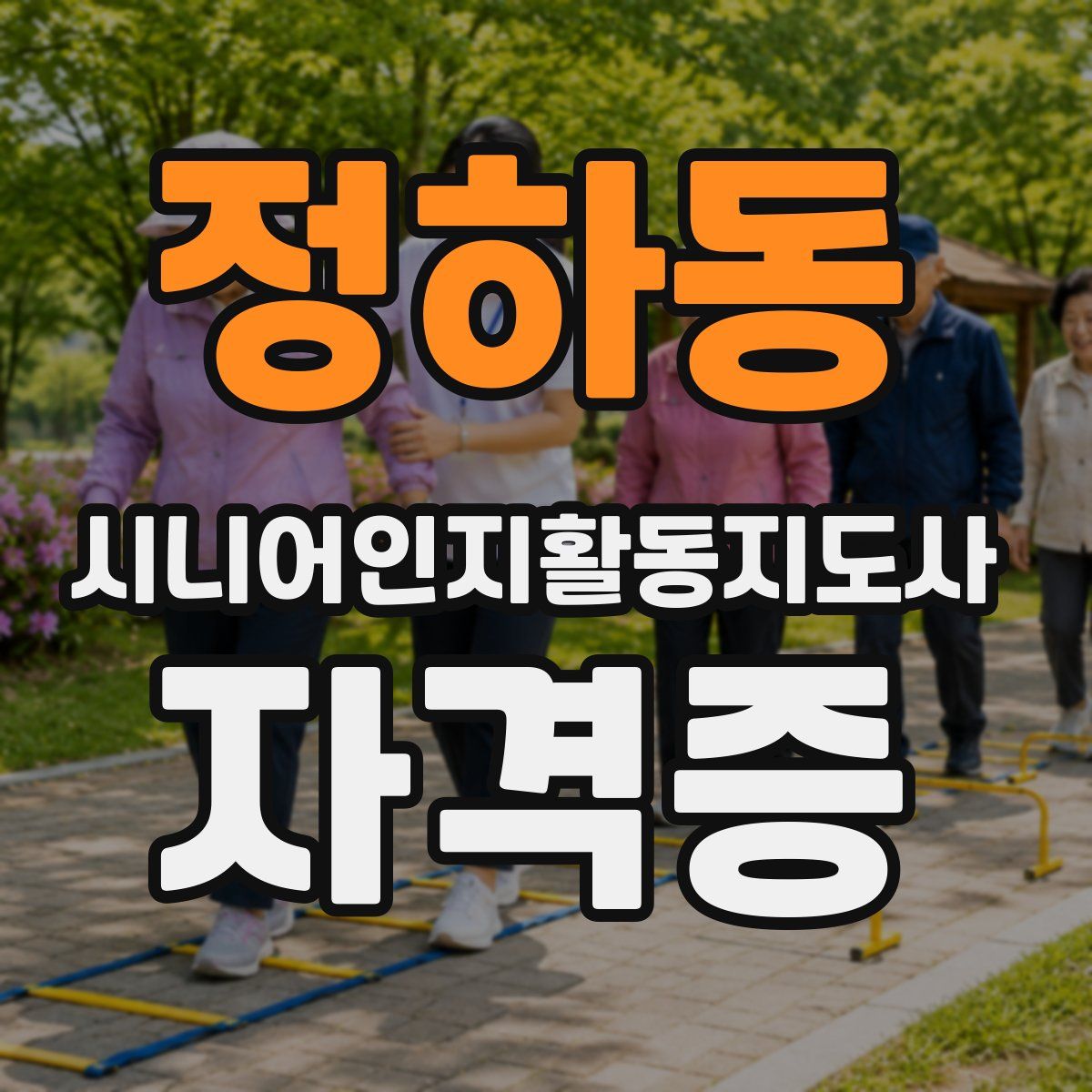 정하동 시니어인지활동지도사 자격증