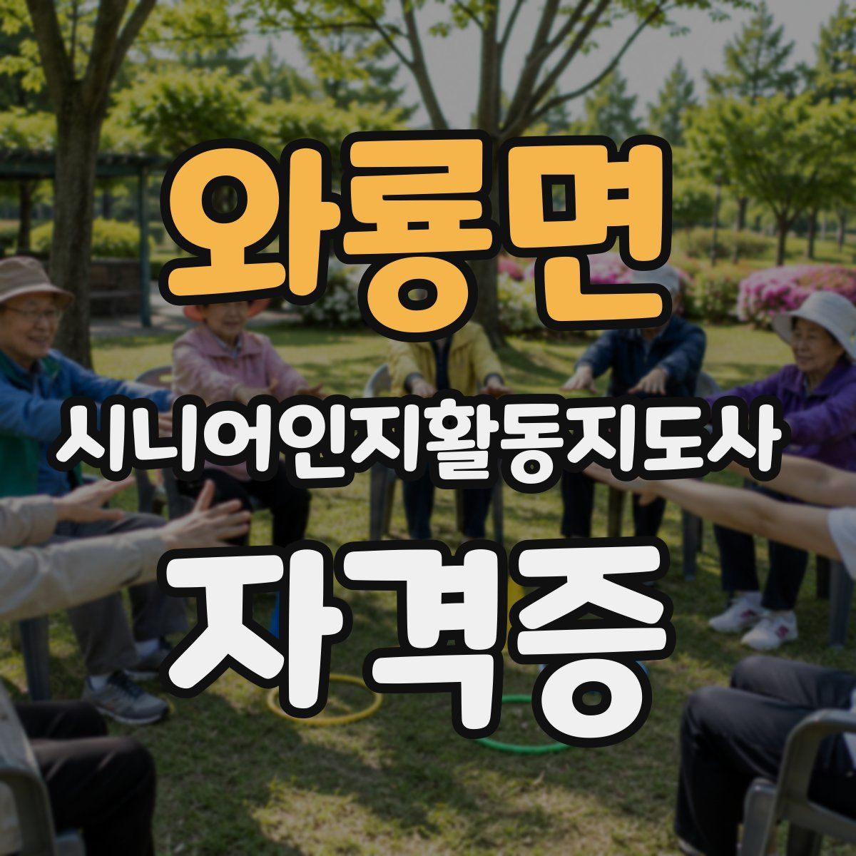 와룡면 시니어인지활동지도사 자격증