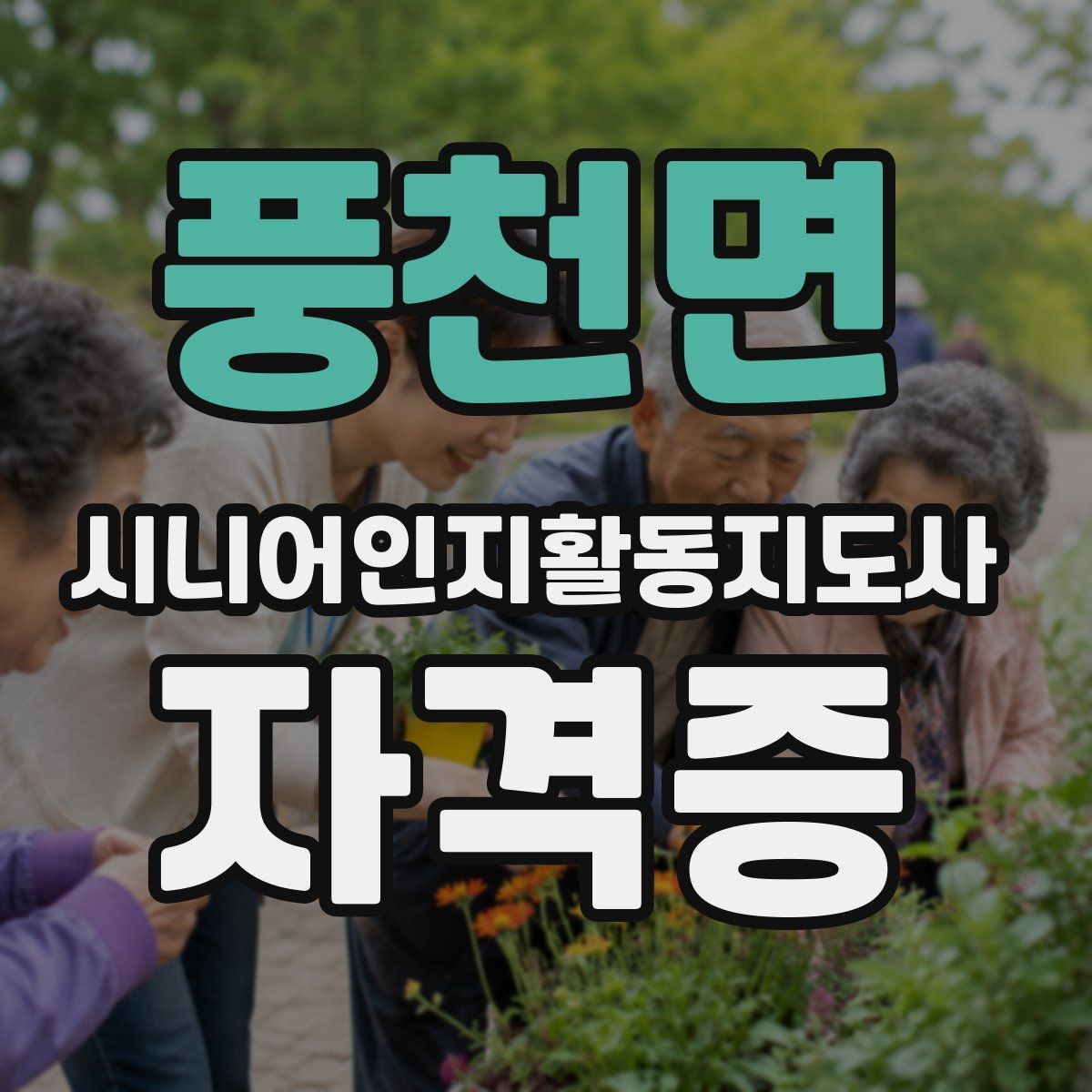 풍천면 시니어인지활동지도사 자격증