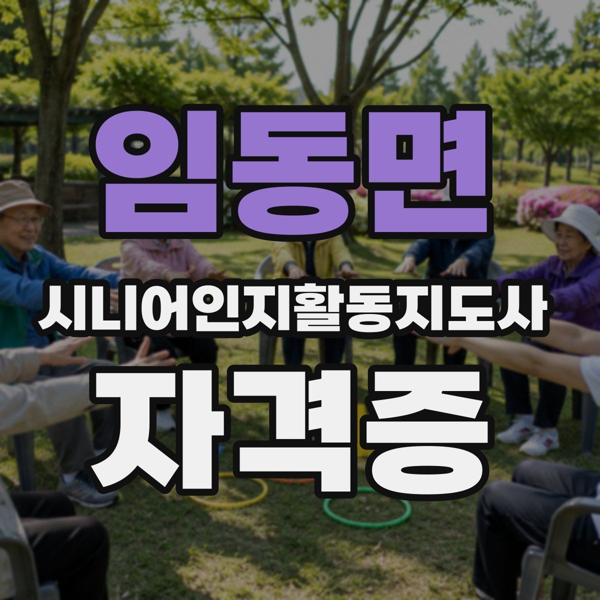 임동면 시니어인지활동지도사 자격증