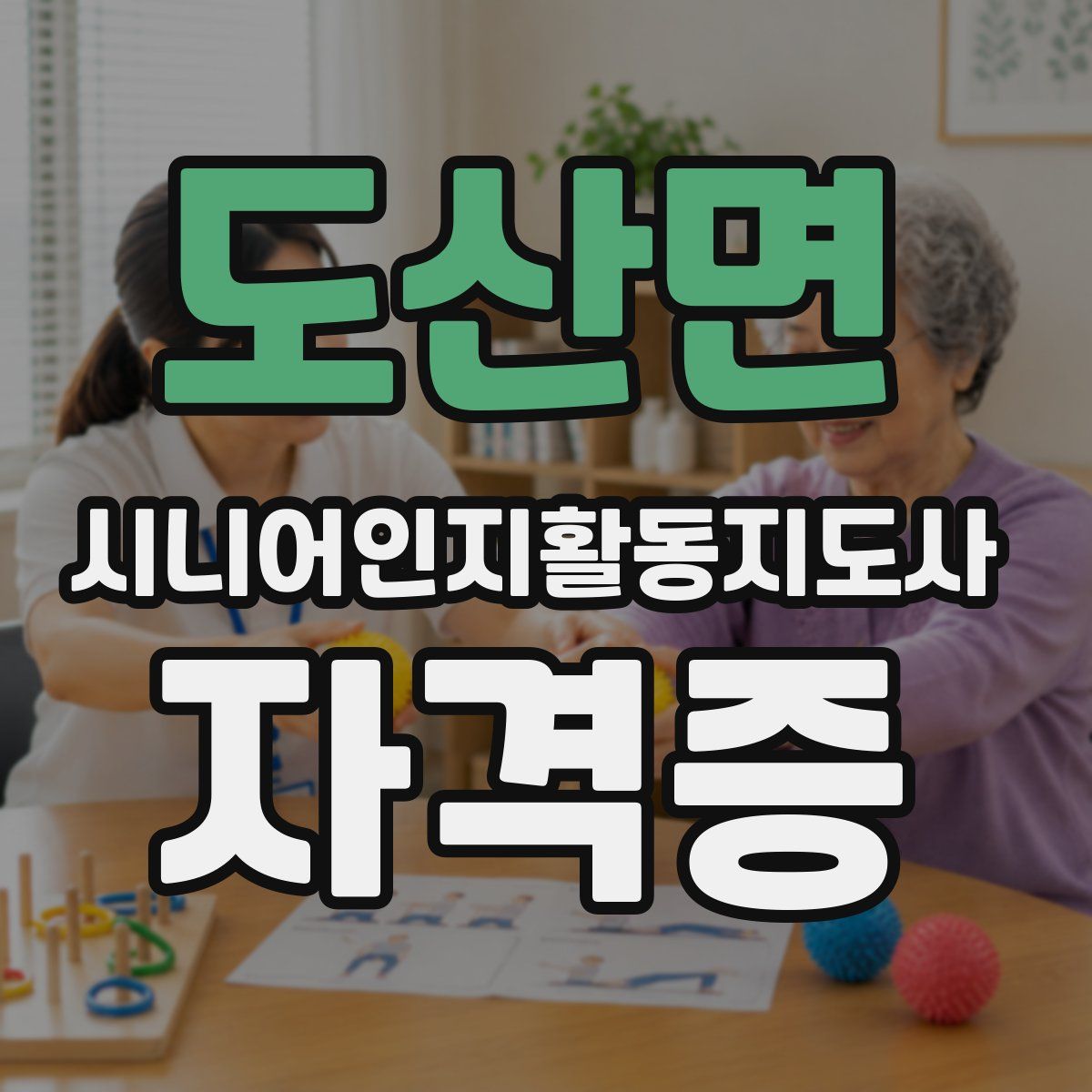도산면 시니어인지활동지도사 자격증