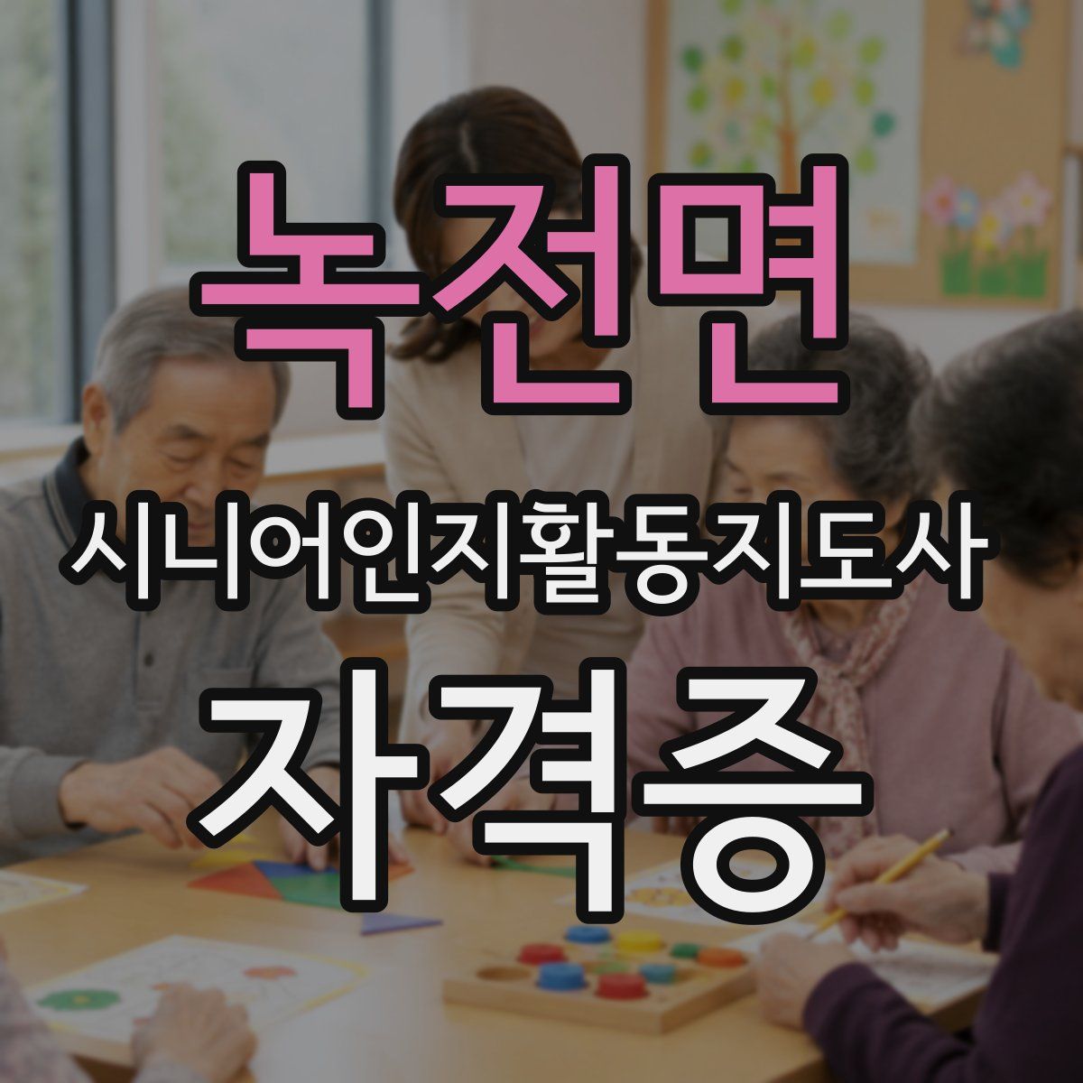 녹전면 시니어인지활동지도사 자격증