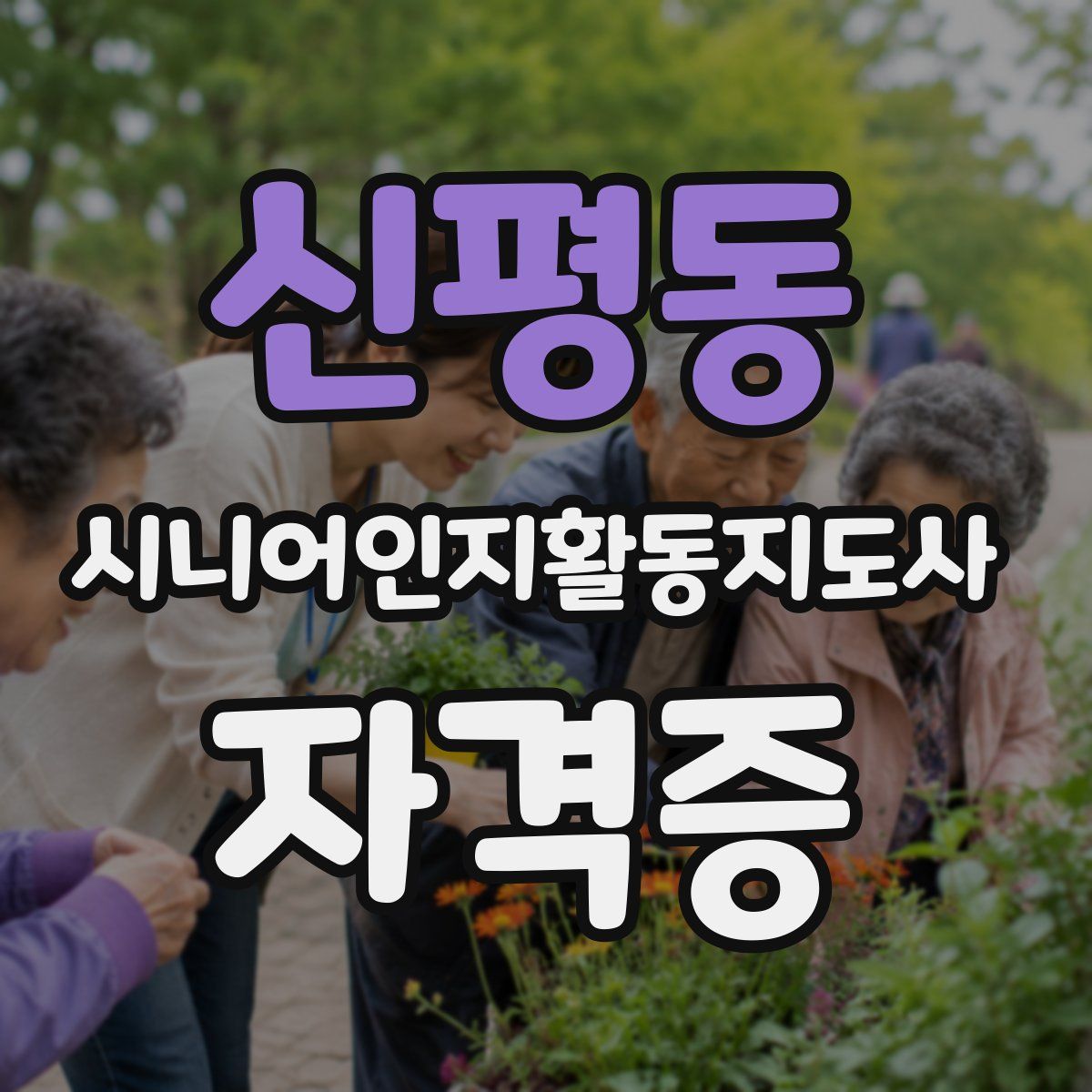 신평동 시니어인지활동지도사 자격증