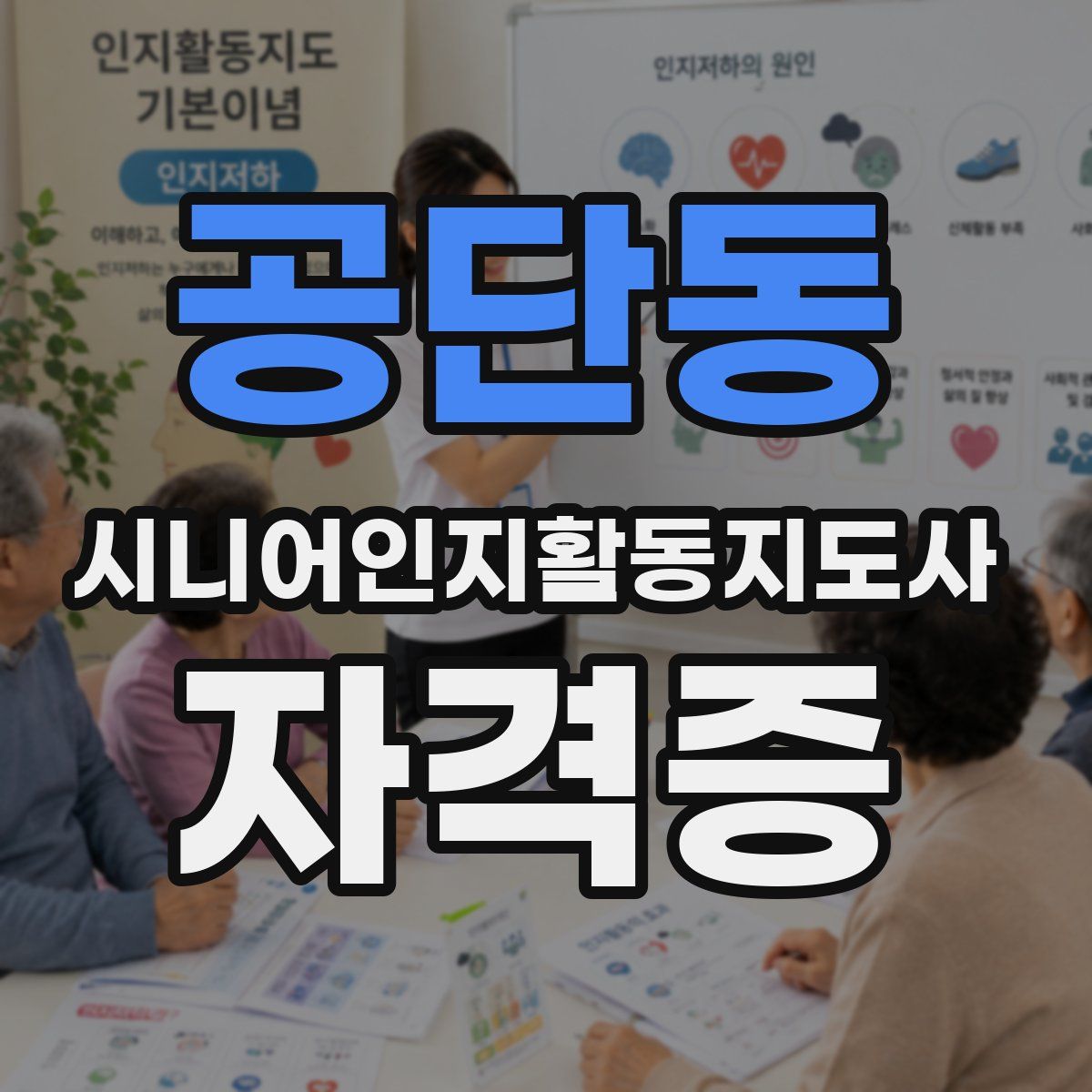 공단동 시니어인지활동지도사 자격증