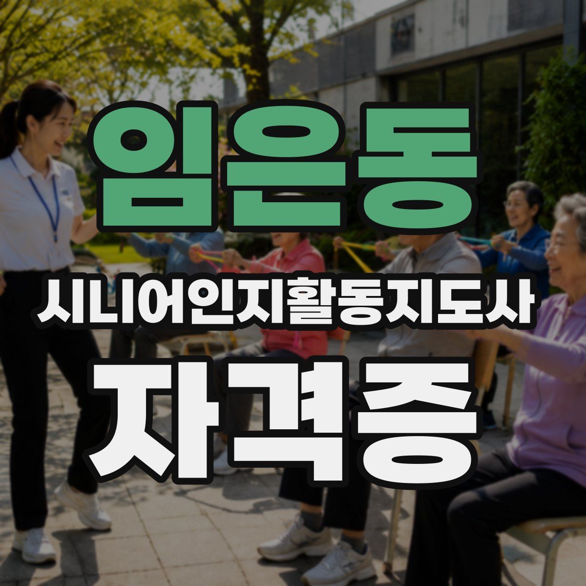 임은동 시니어인지활동지도사 자격증