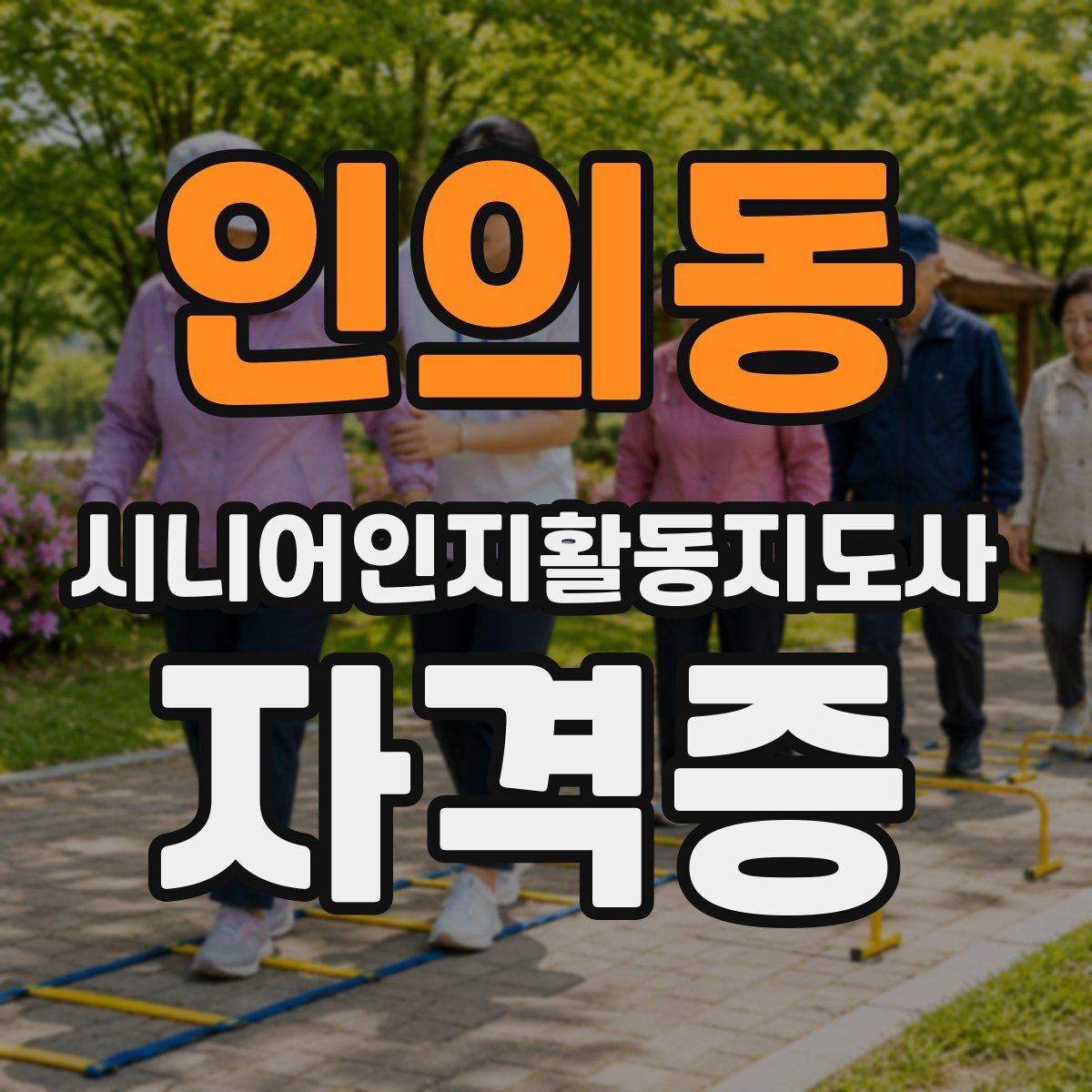 인의동 시니어인지활동지도사 자격증