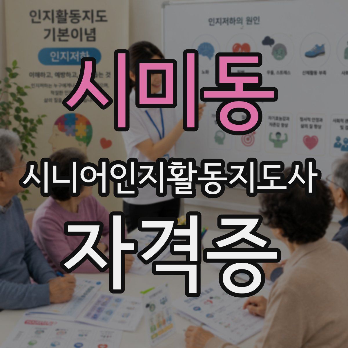 시미동 시니어인지활동지도사 자격증