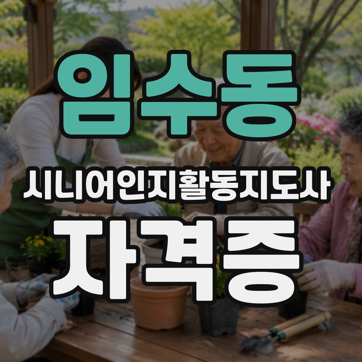 임수동 시니어인지활동지도사 자격증