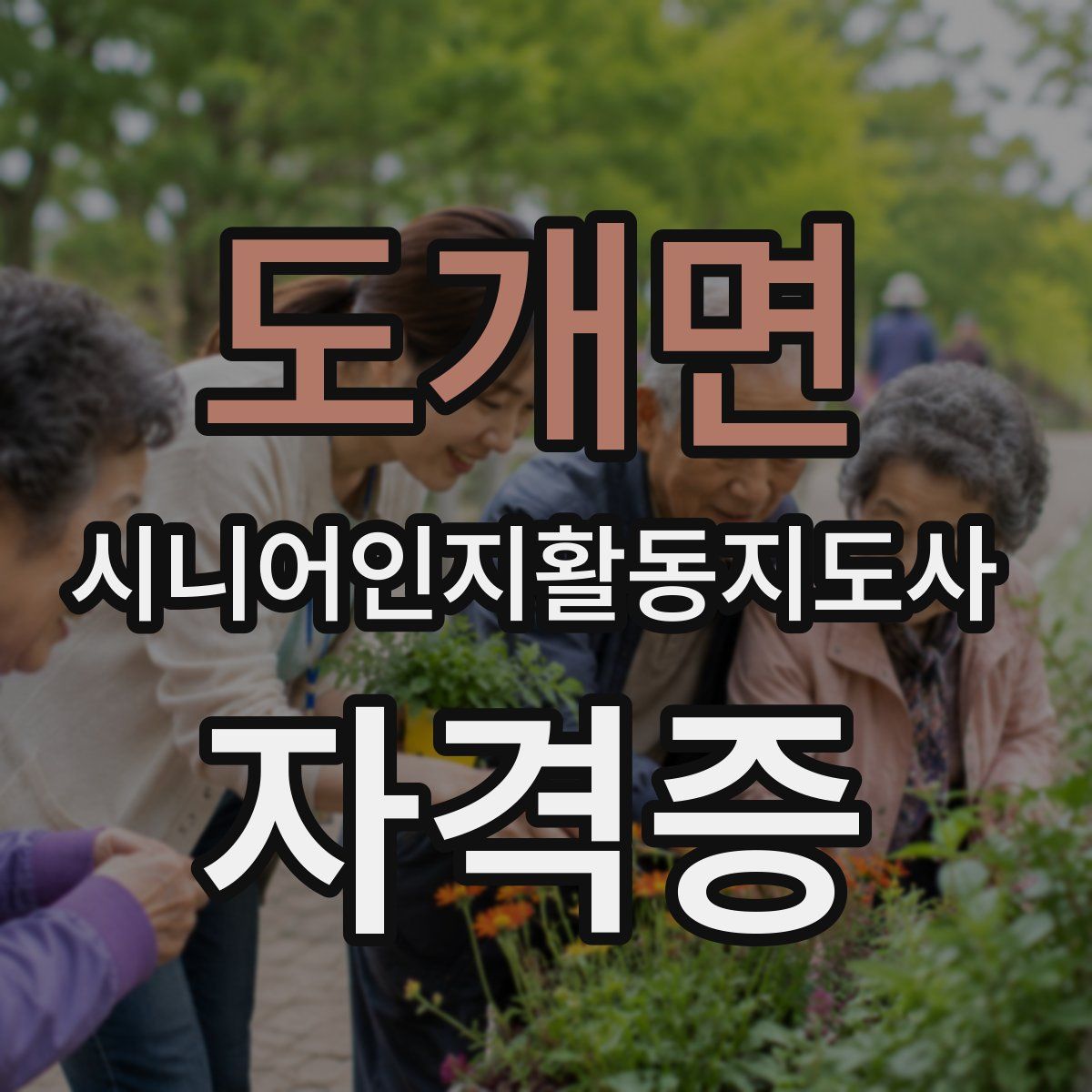 도개면 시니어인지활동지도사 자격증