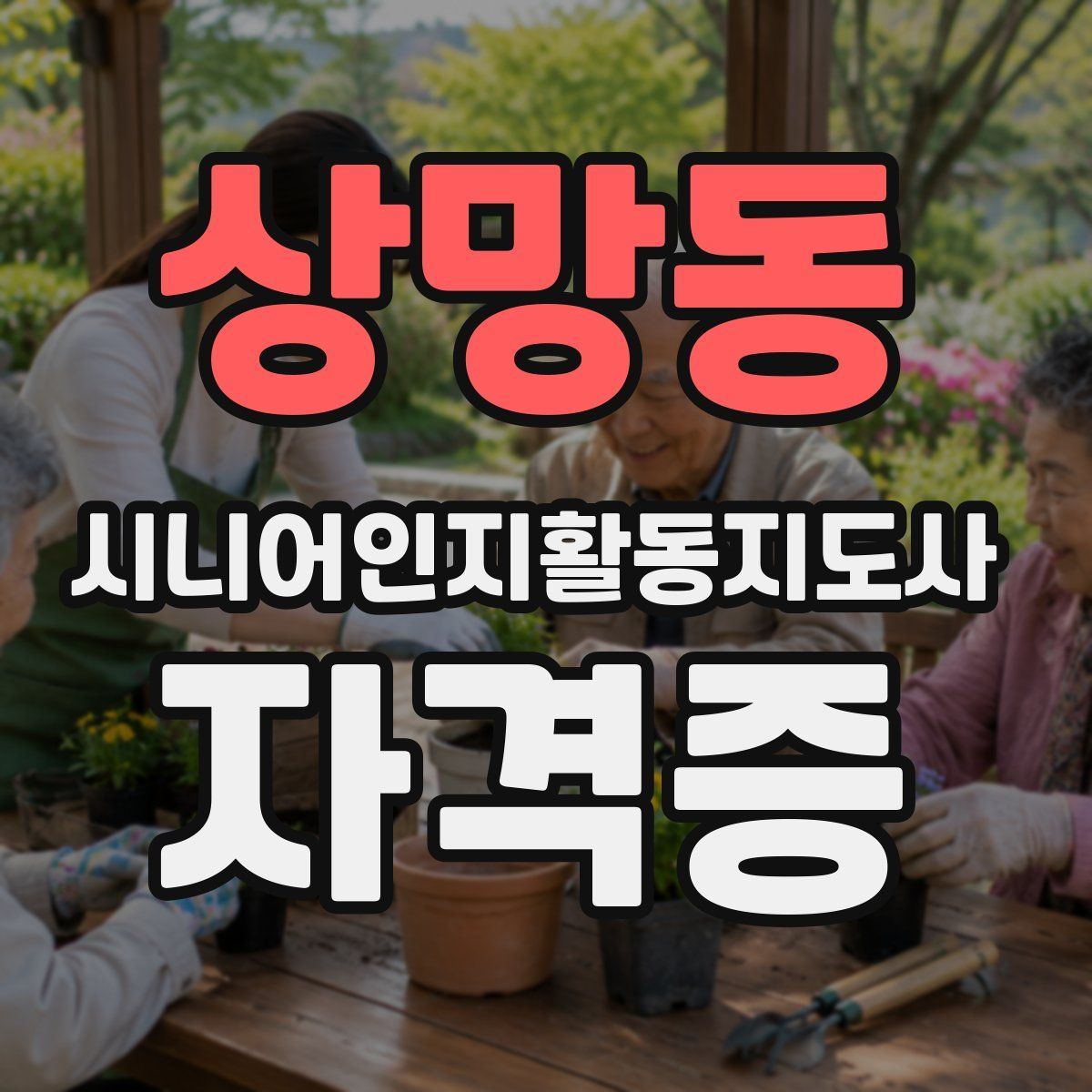 상망동 시니어인지활동지도사 자격증