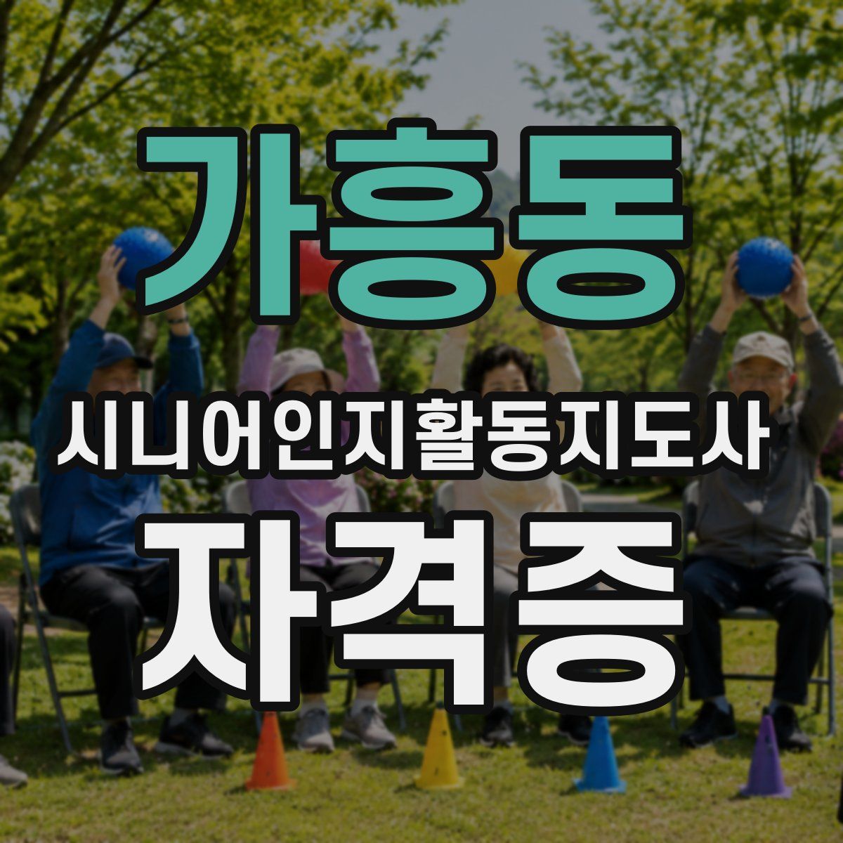 가흥동 시니어인지활동지도사 자격증