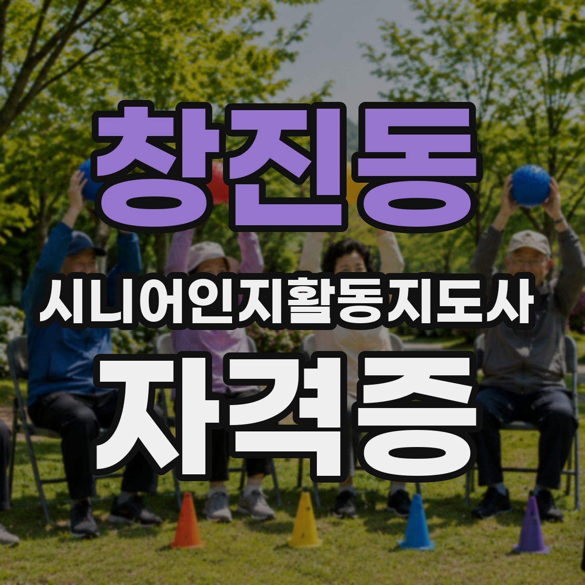 창진동 시니어인지활동지도사 자격증