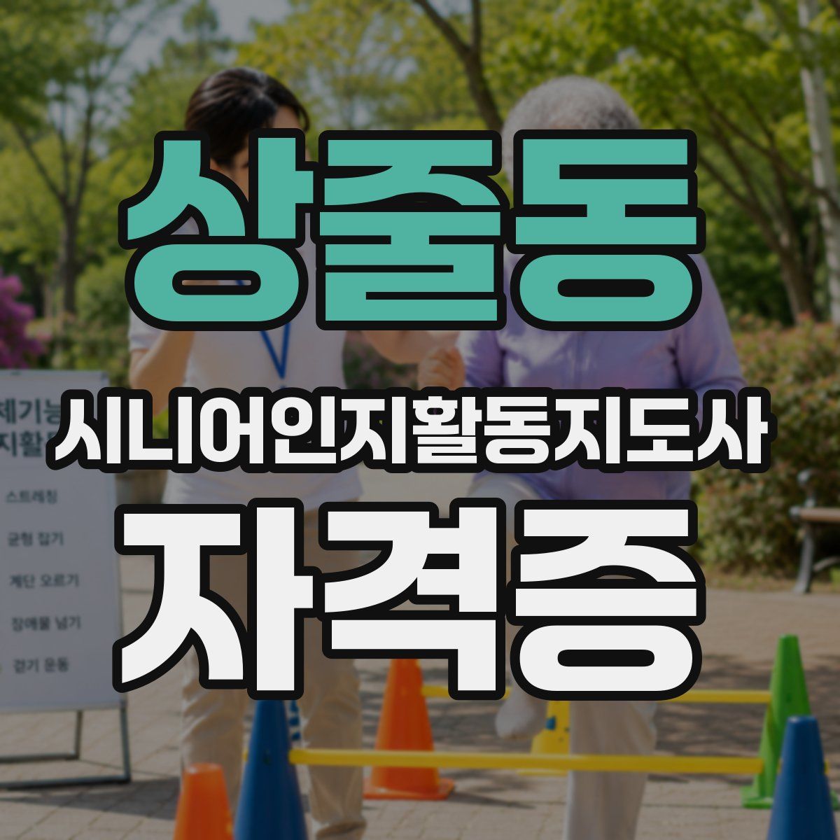 상줄동 시니어인지활동지도사 자격증