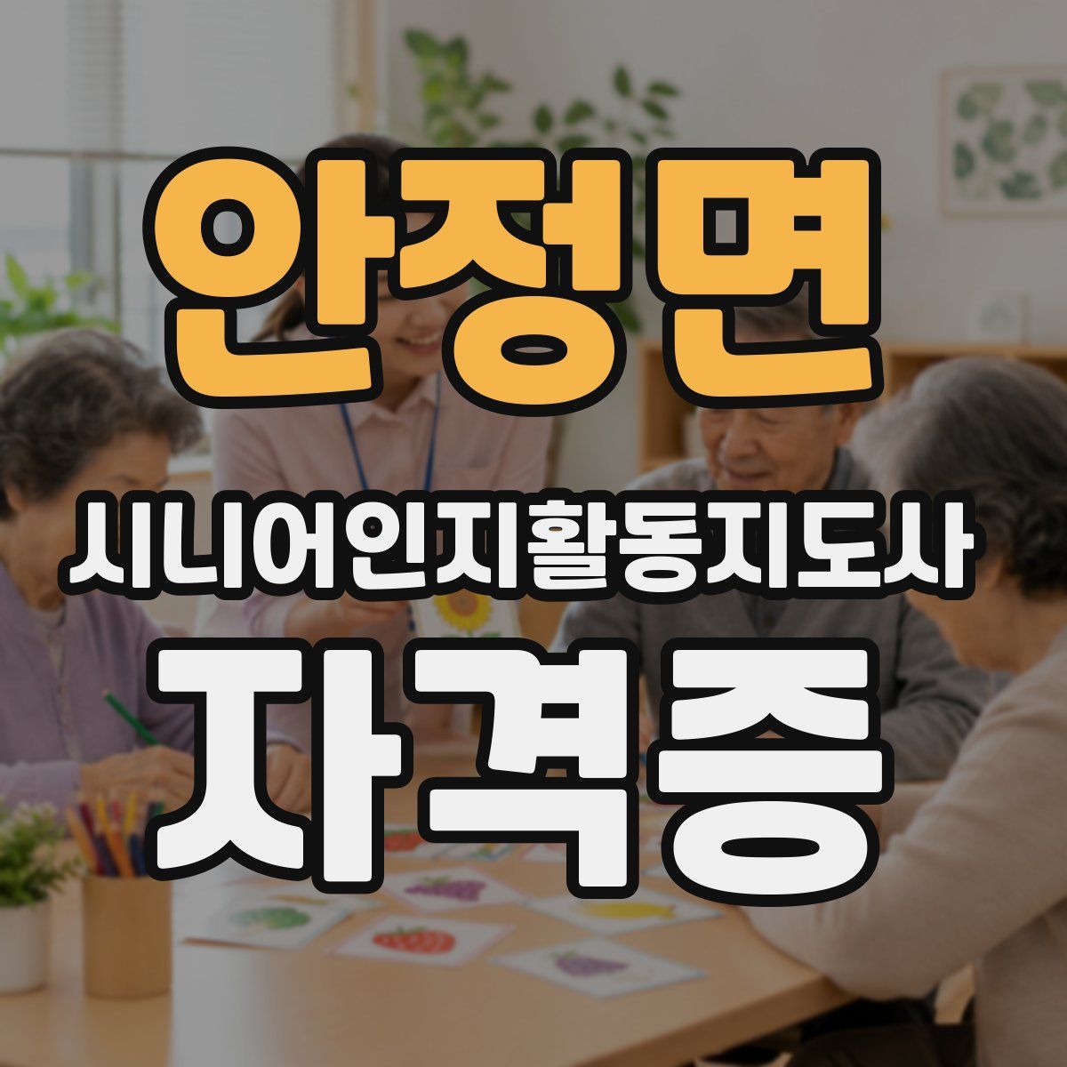 안정면 시니어인지활동지도사 자격증