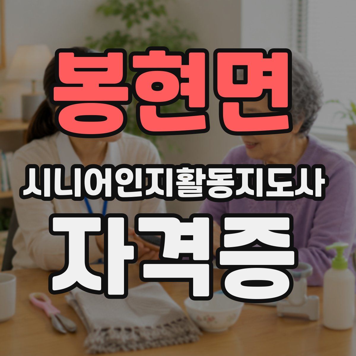 봉현면 시니어인지활동지도사 자격증