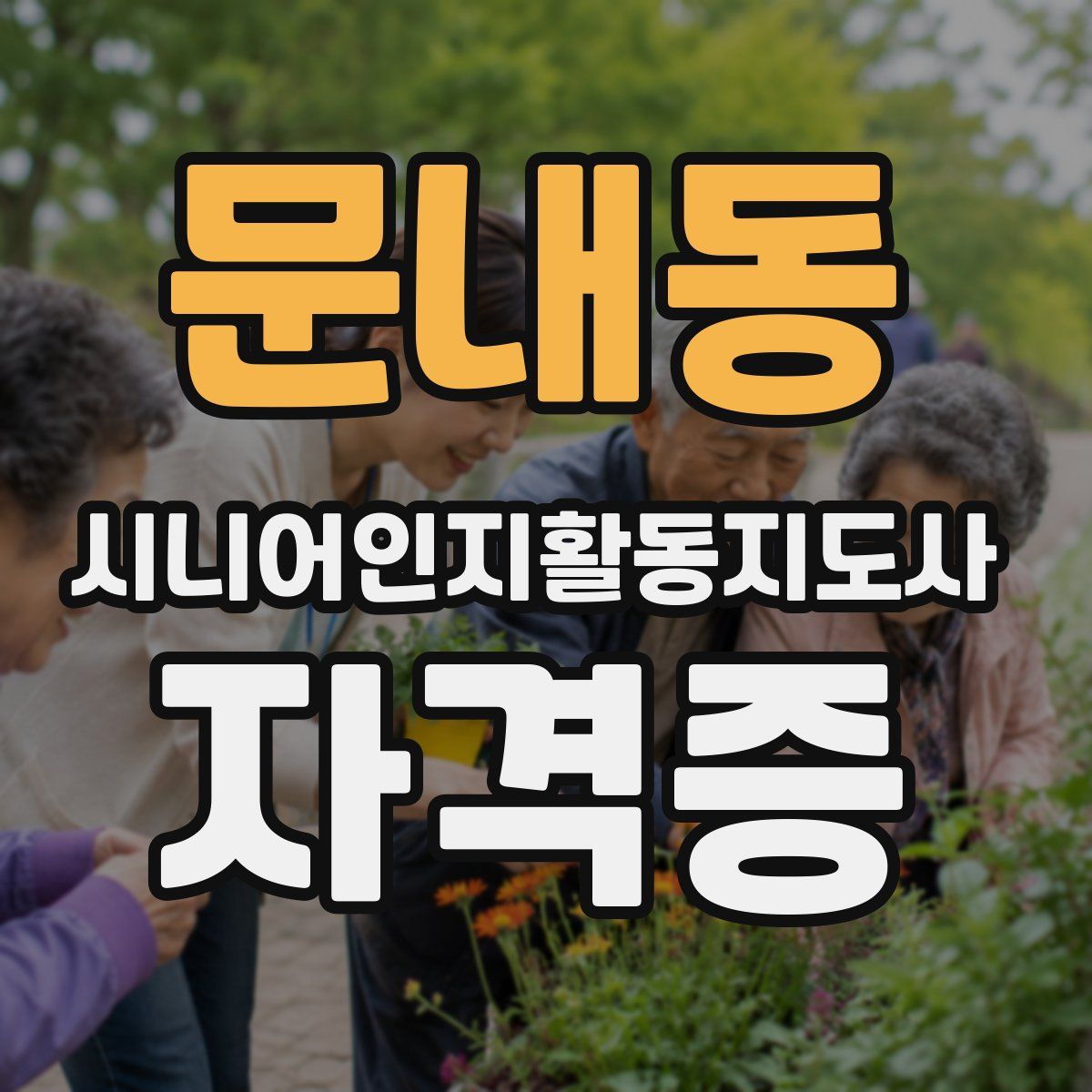 문내동 시니어인지활동지도사 자격증