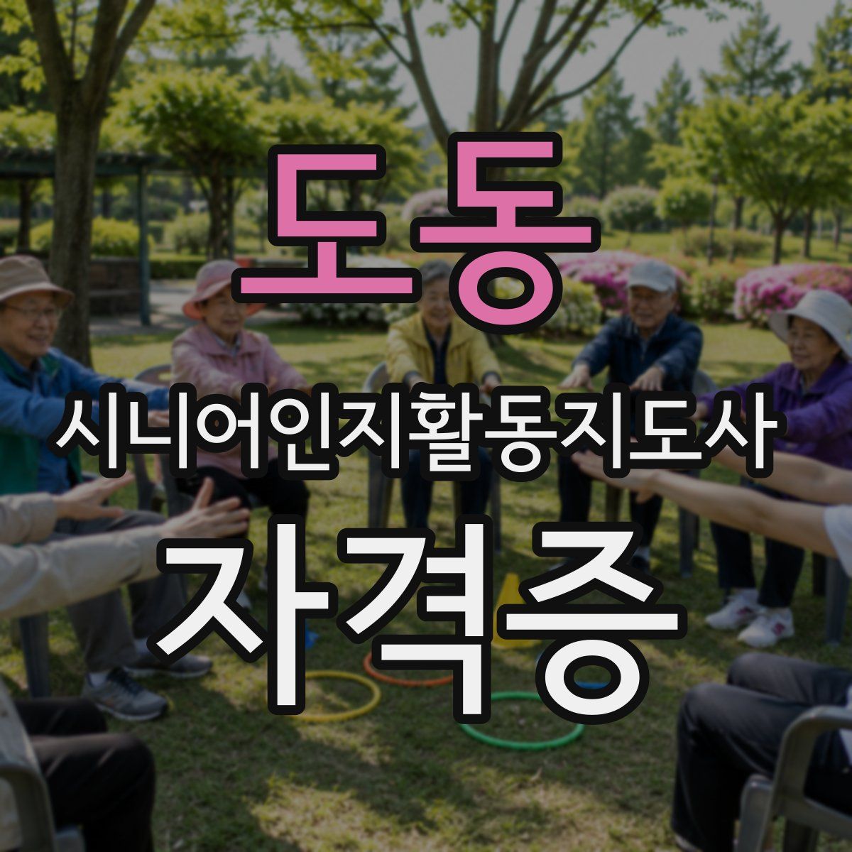 도동 시니어인지활동지도사 자격증