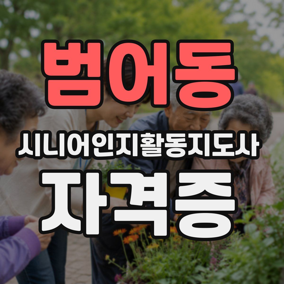 범어동 시니어인지활동지도사 자격증