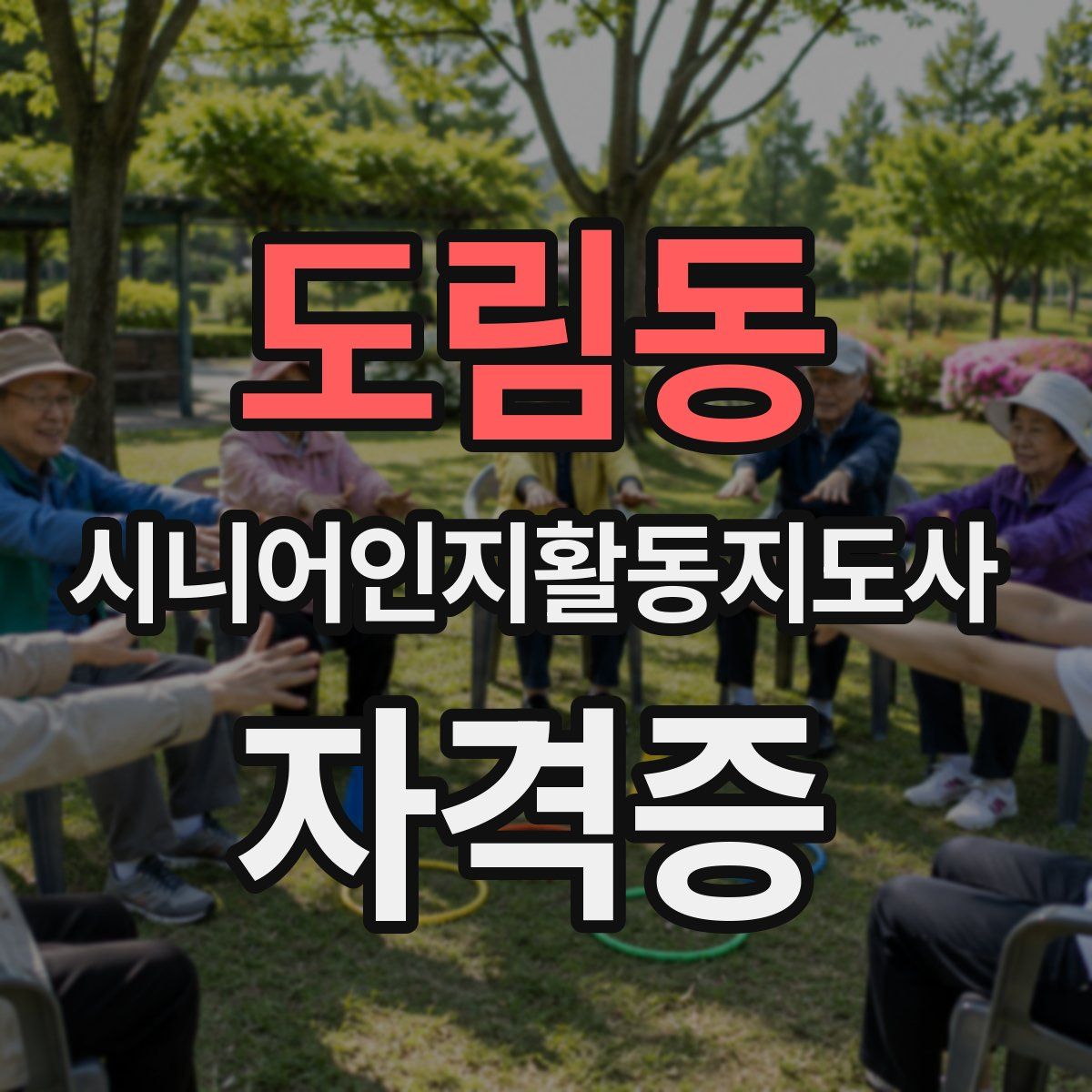도림동 시니어인지활동지도사 자격증