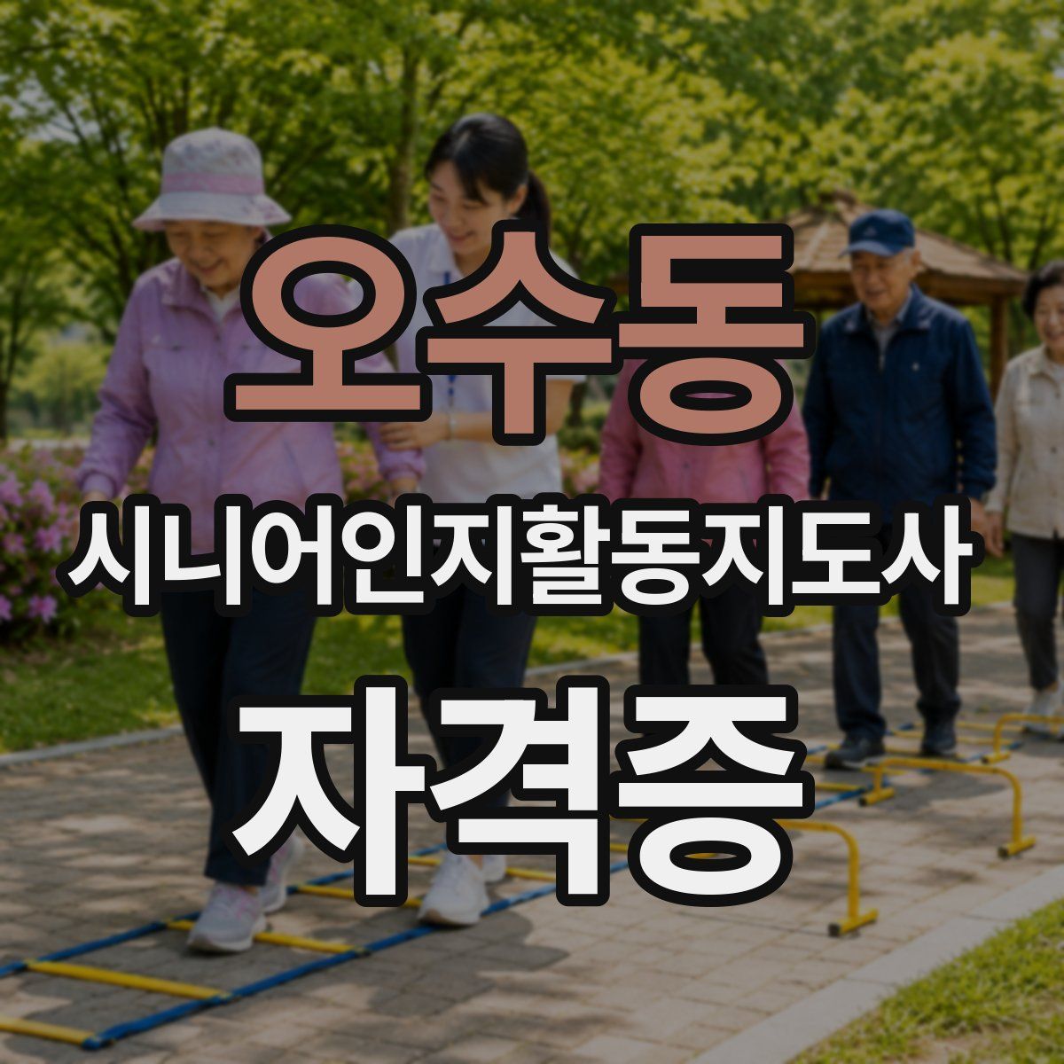 오수동 시니어인지활동지도사 자격증
