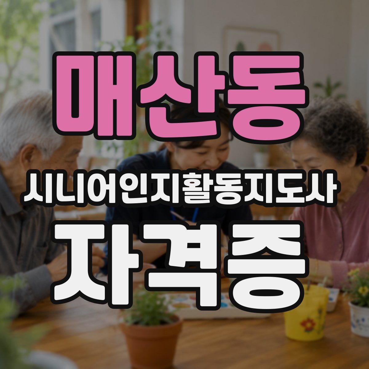 매산동 시니어인지활동지도사 자격증