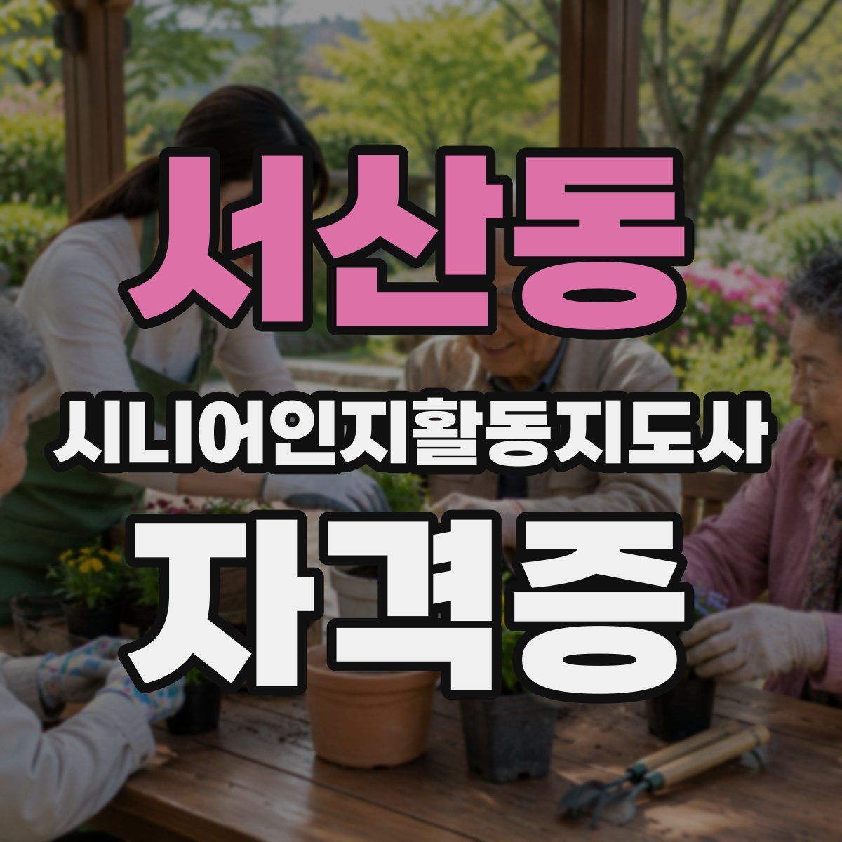 서산동 시니어인지활동지도사 자격증