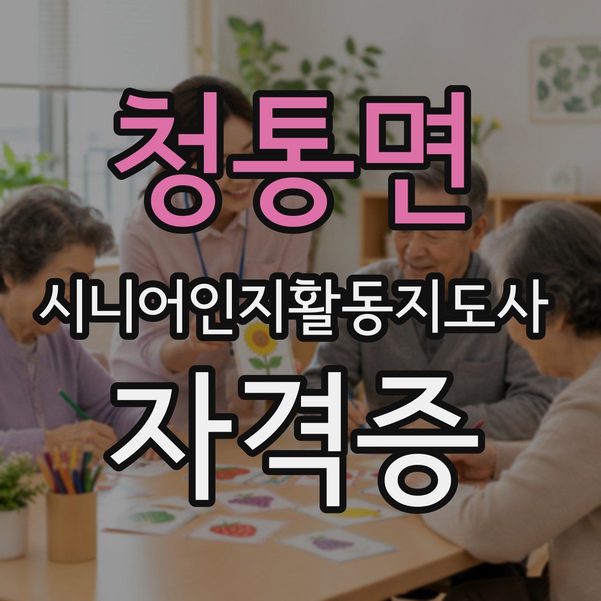 청통면 시니어인지활동지도사 자격증