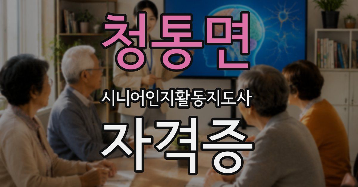 청통면 시니어인지활동지도사 자격증