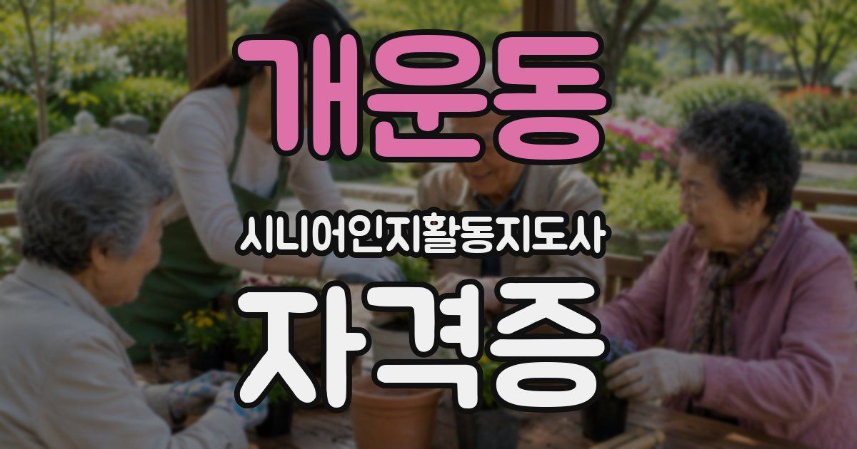 개운동 시니어인지활동지도사 자격증