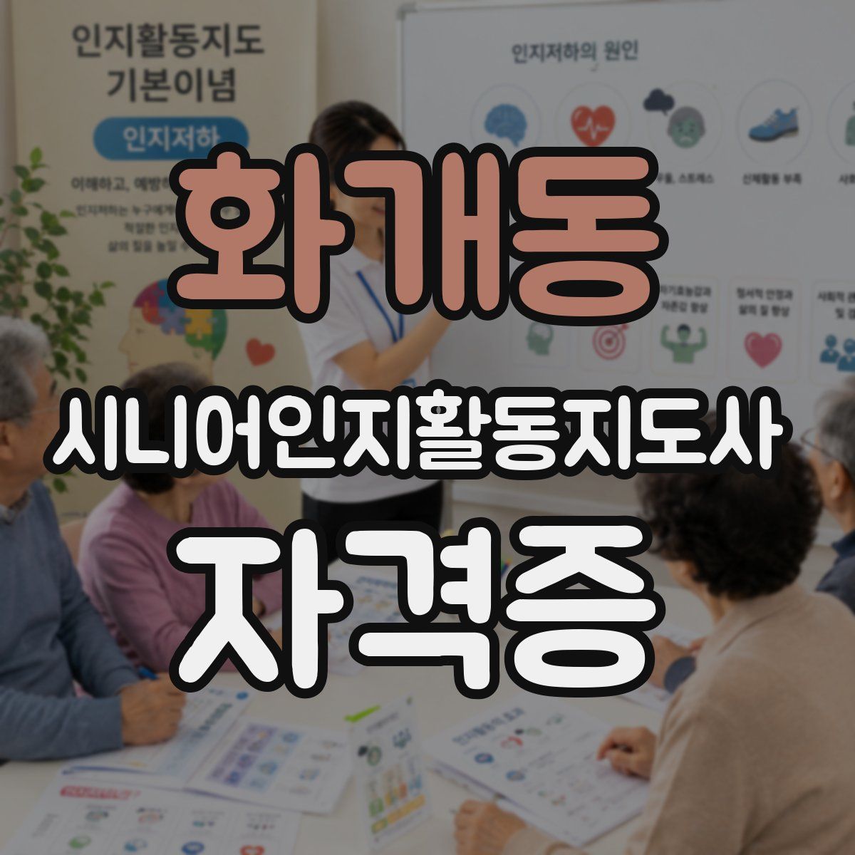 화개동 시니어인지활동지도사 자격증