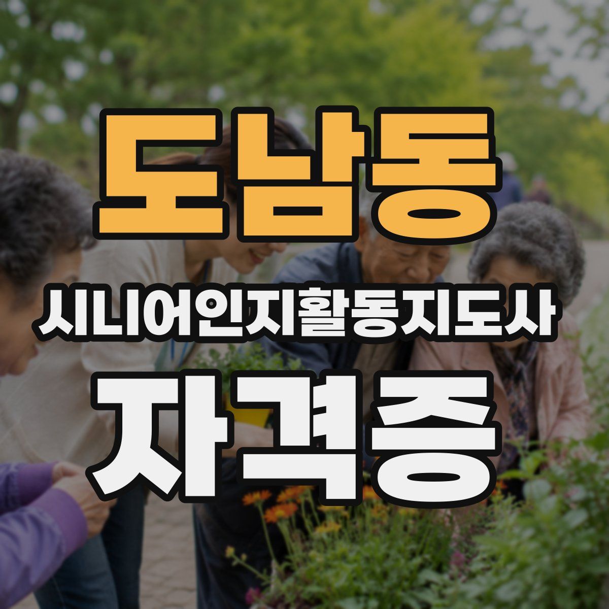 도남동 시니어인지활동지도사 자격증