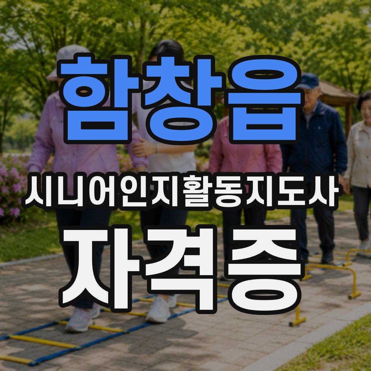 함창읍 시니어인지활동지도사 자격증