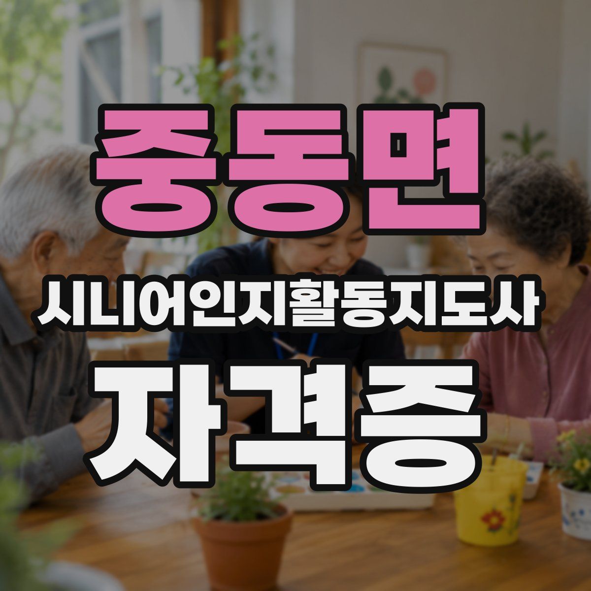 중동면 시니어인지활동지도사 자격증