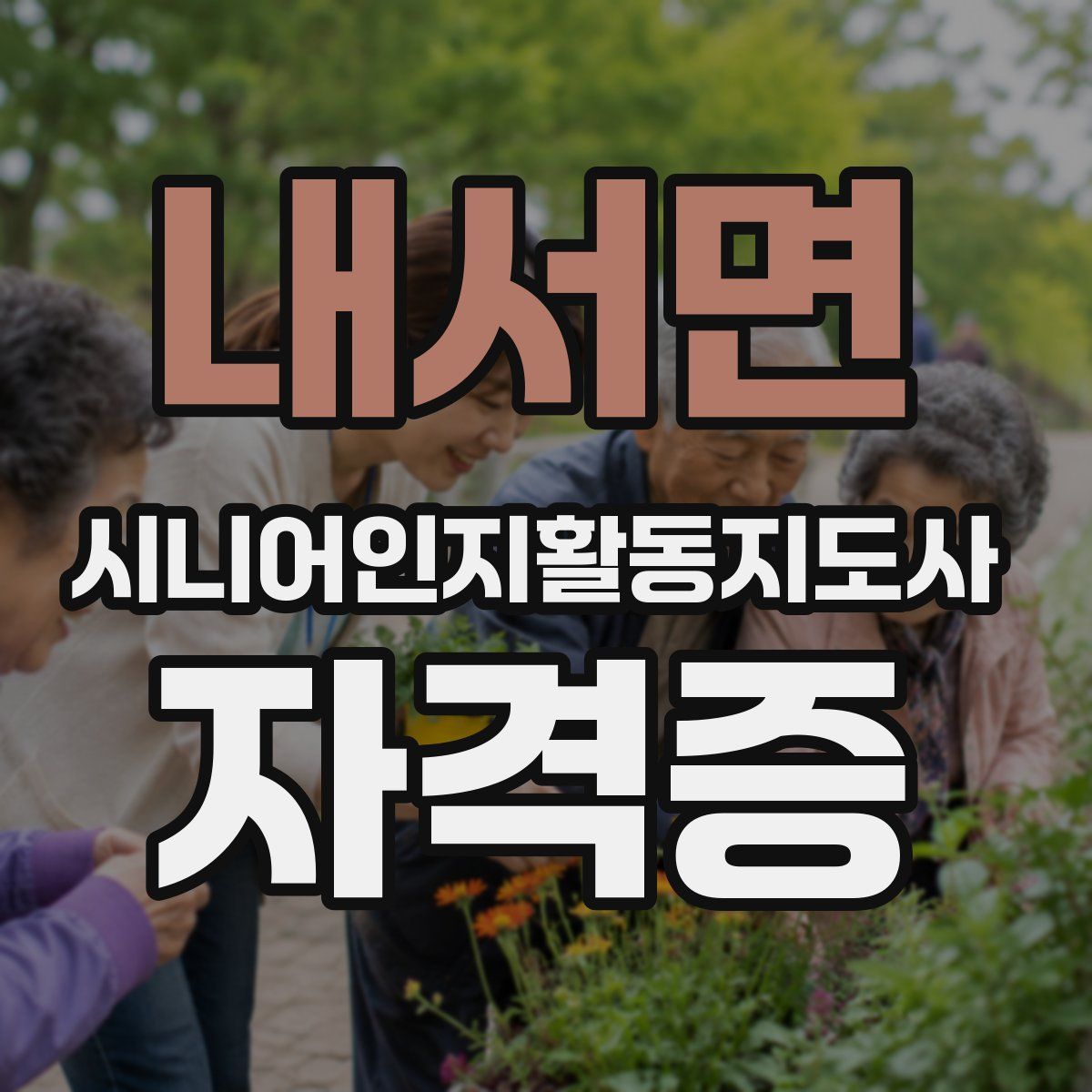 내서면 시니어인지활동지도사 자격증